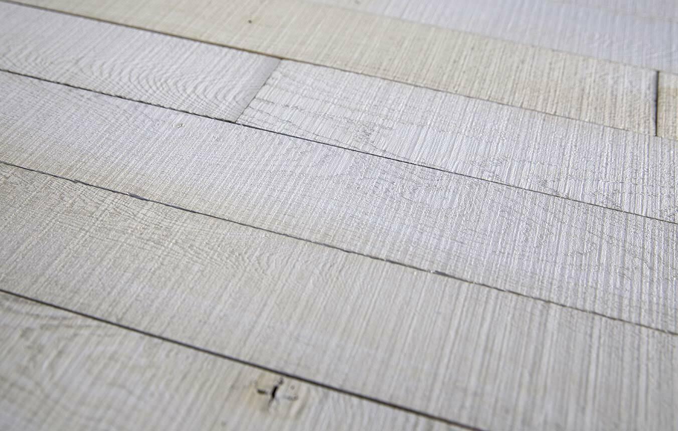 Fossil_Plank_BOLD015_Detail