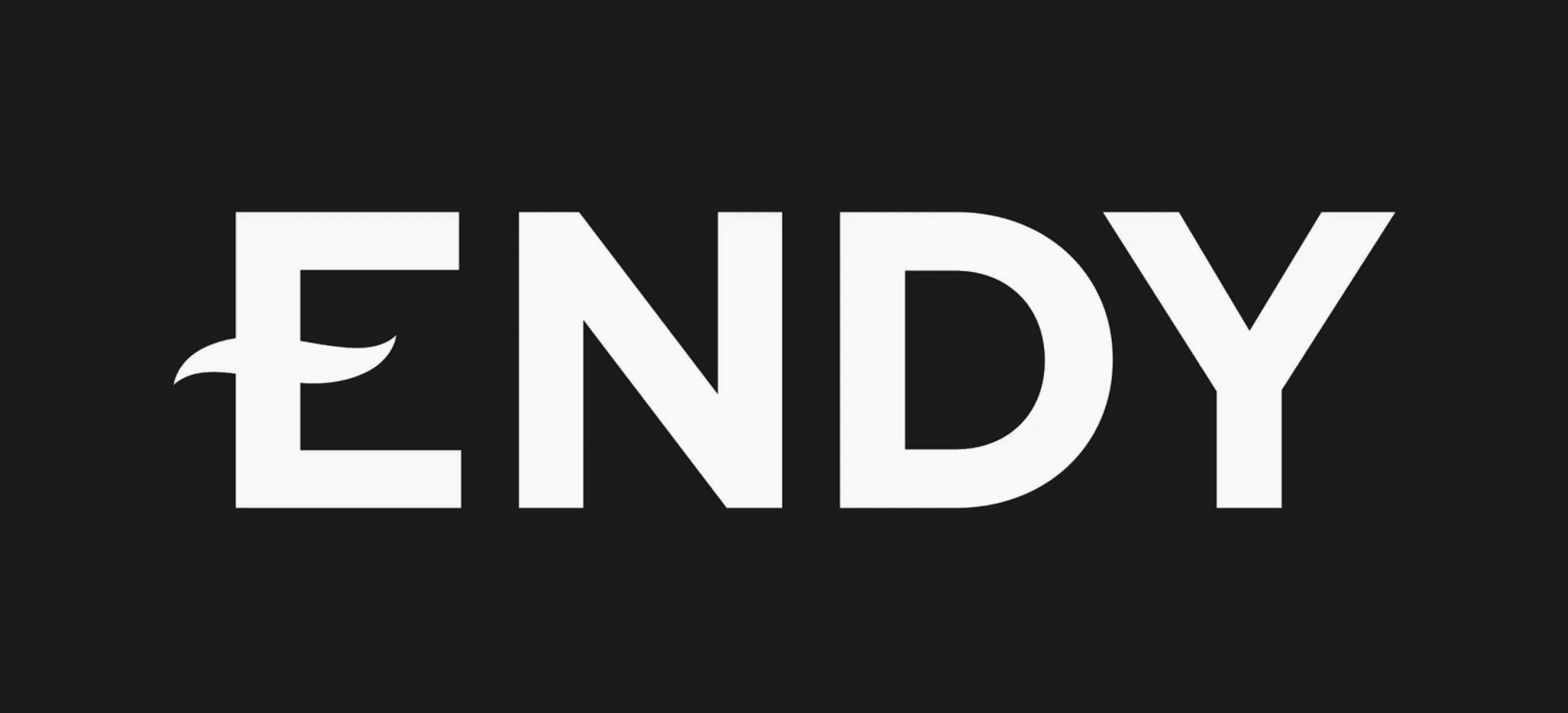 Endy Logo