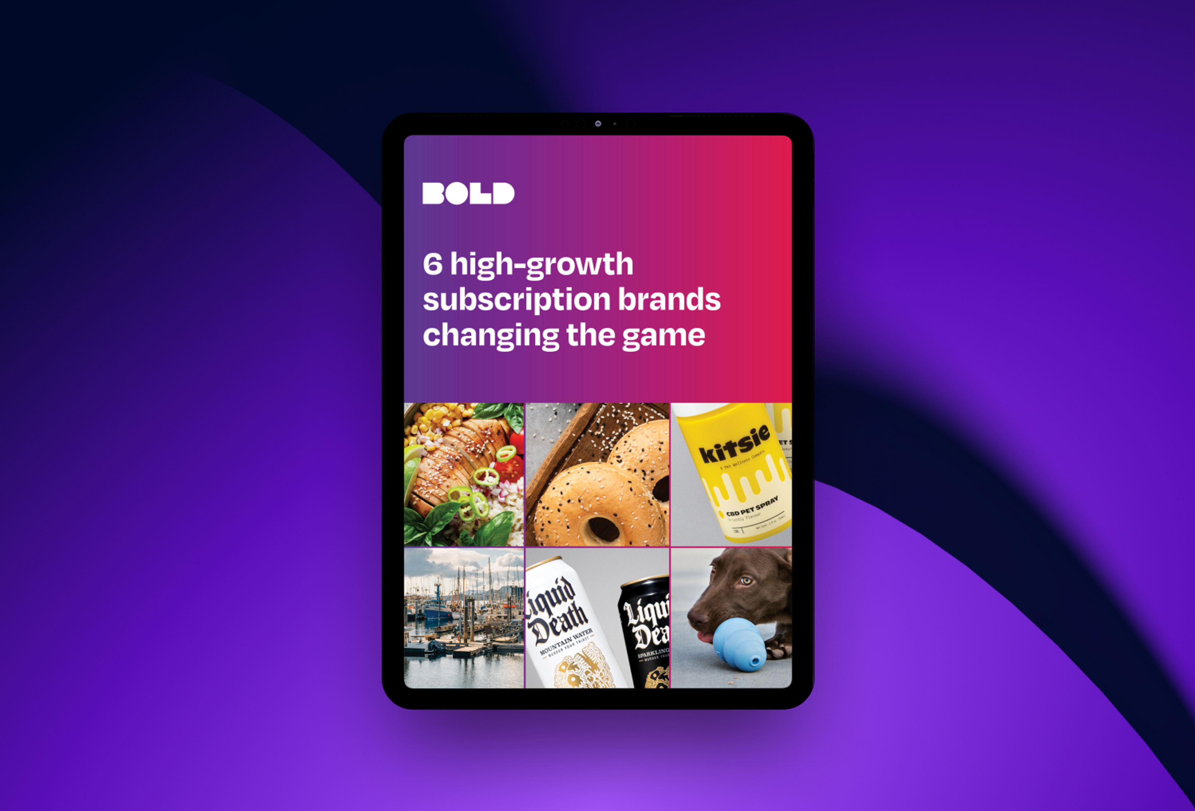 6 High-growth subscription brands changing the game ebook cover