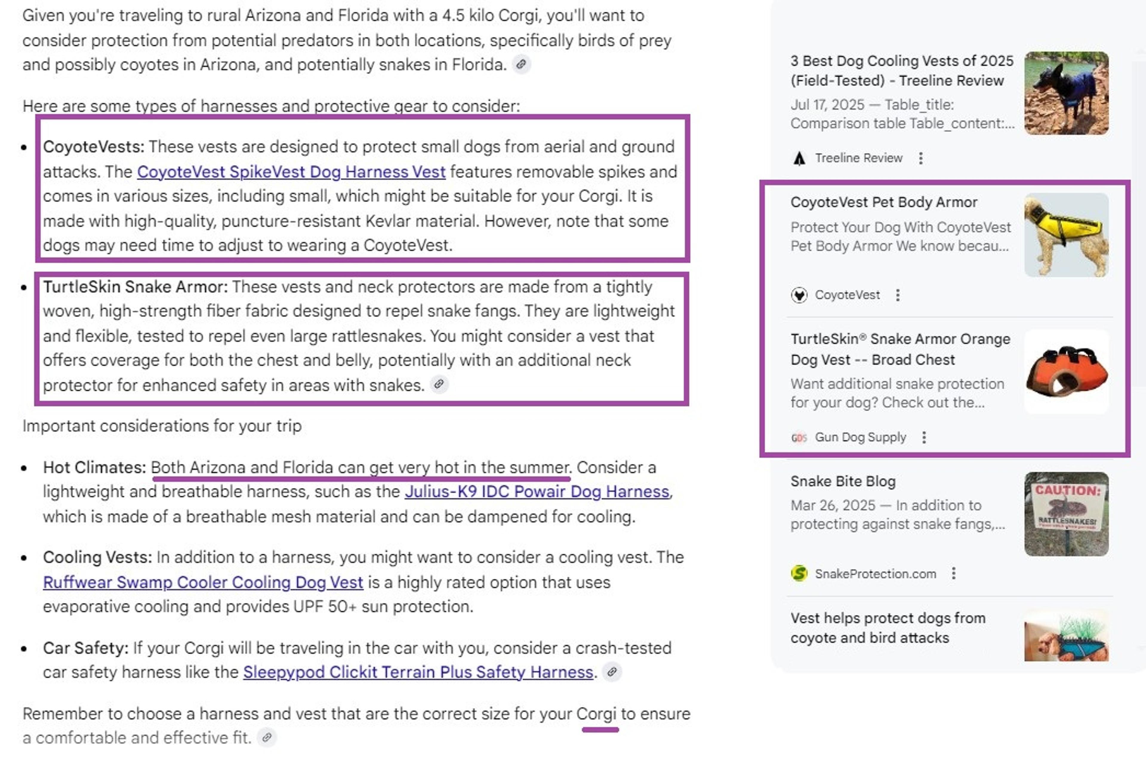Conversational search results for dog travel gear and predator protection in Google AI Mode that Shopify retailers should see