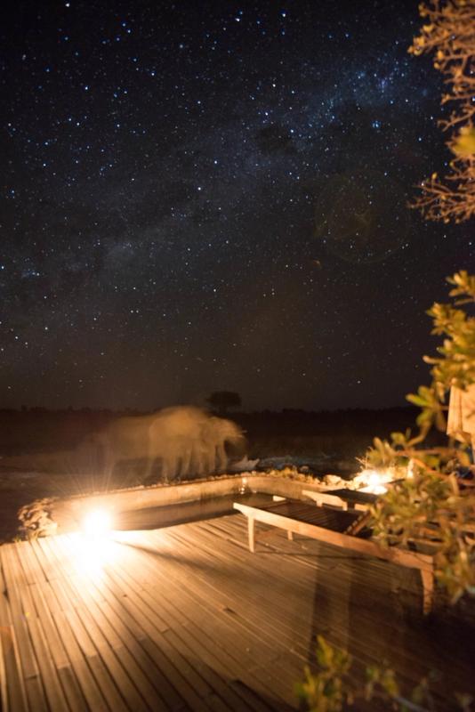 Somalisa, Hwange National Park, Zimbabwe (2014)