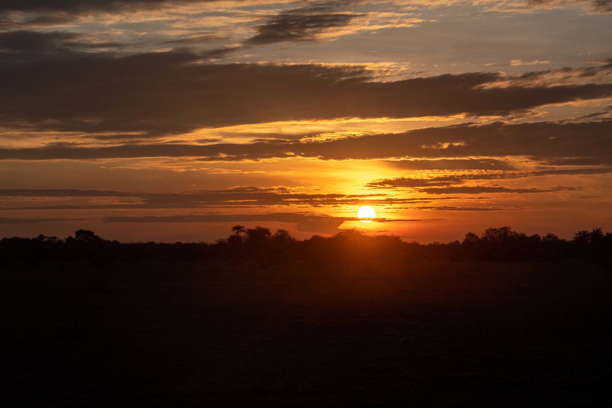 Sunset, Nxai Pan, Botswana (2020)