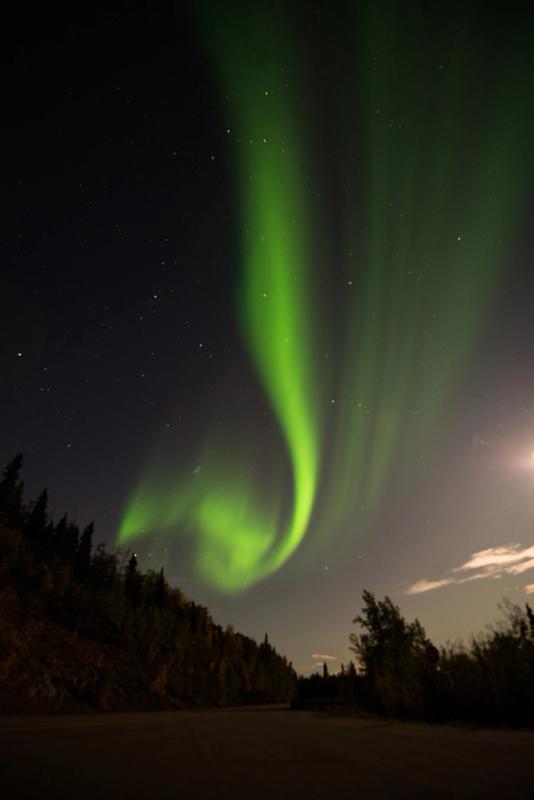 Northern Lights, Alaska, USA (2017)