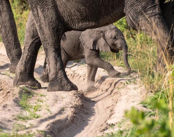 Botswana