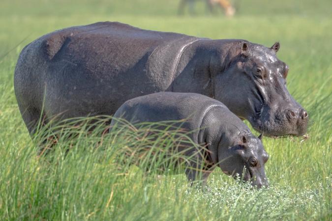 Botswana