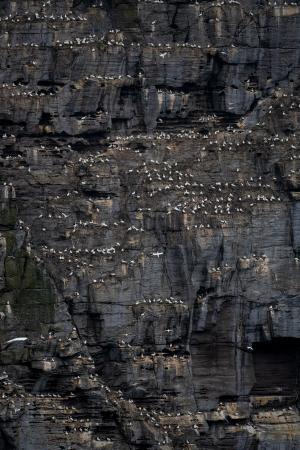 Shetland Isles