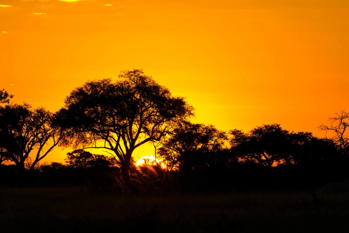 Sunset, Zimbabwe (2014)