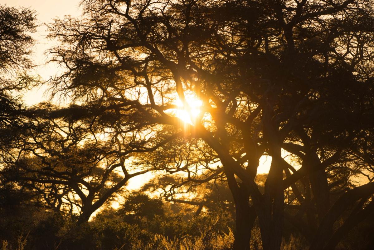 Sunset Hwange National Park Zimbabawe (2014)