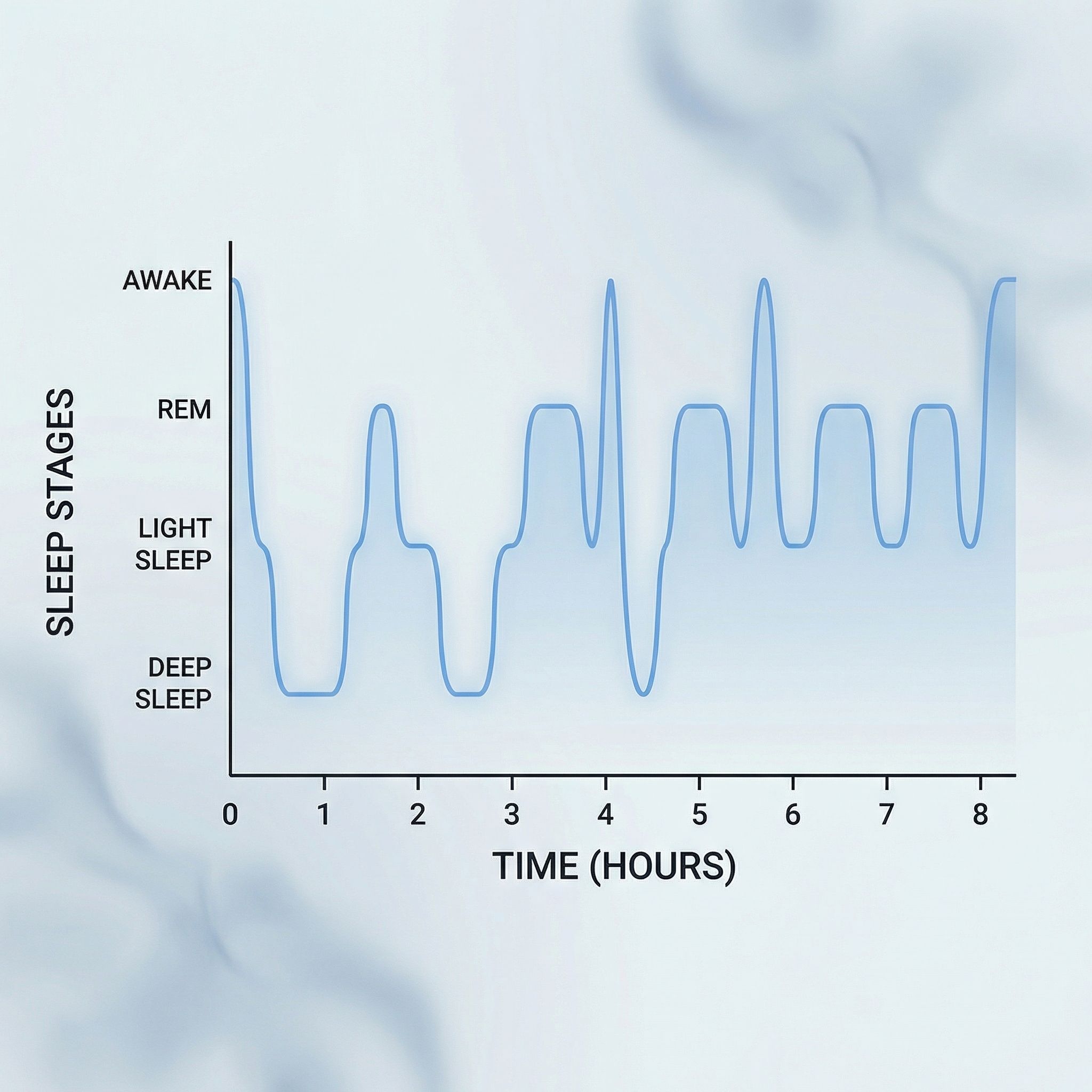 The Architecture of Sleep: Understanding the Hypnogram
