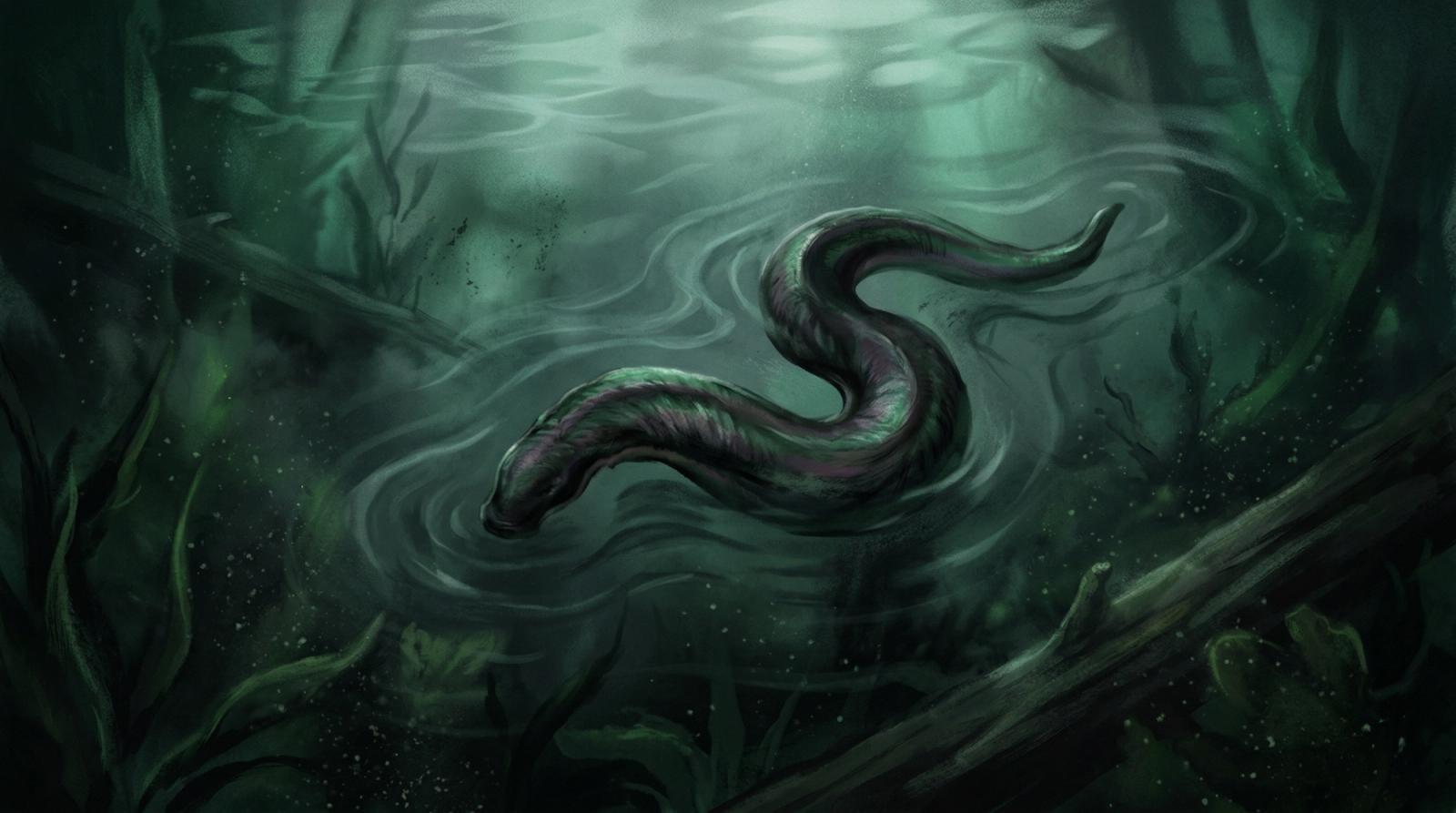 Dreaming of Leeches: Meaning and Interpretation