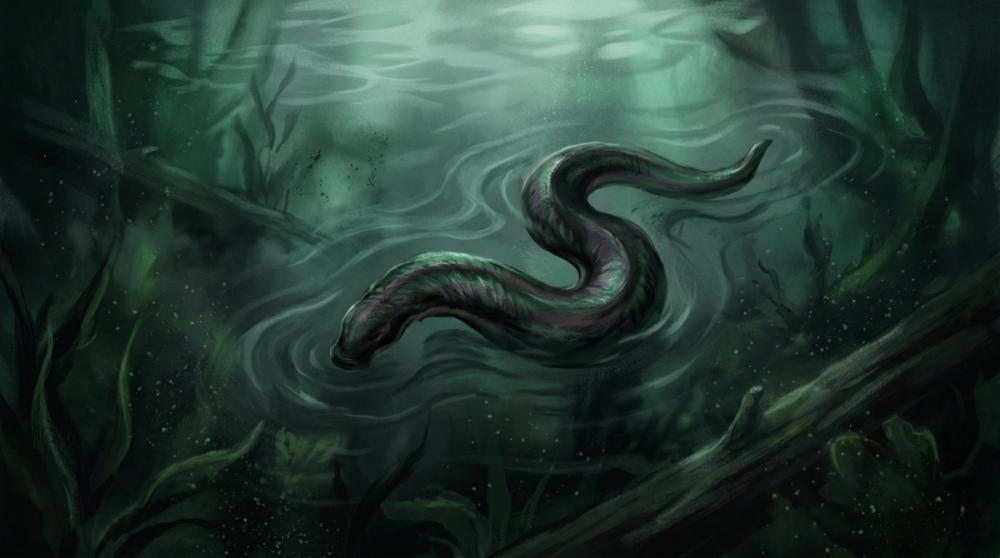 Dreaming of Leeches: Meaning and Interpretation Dreaming of Leeches: Meaning and Interpretation