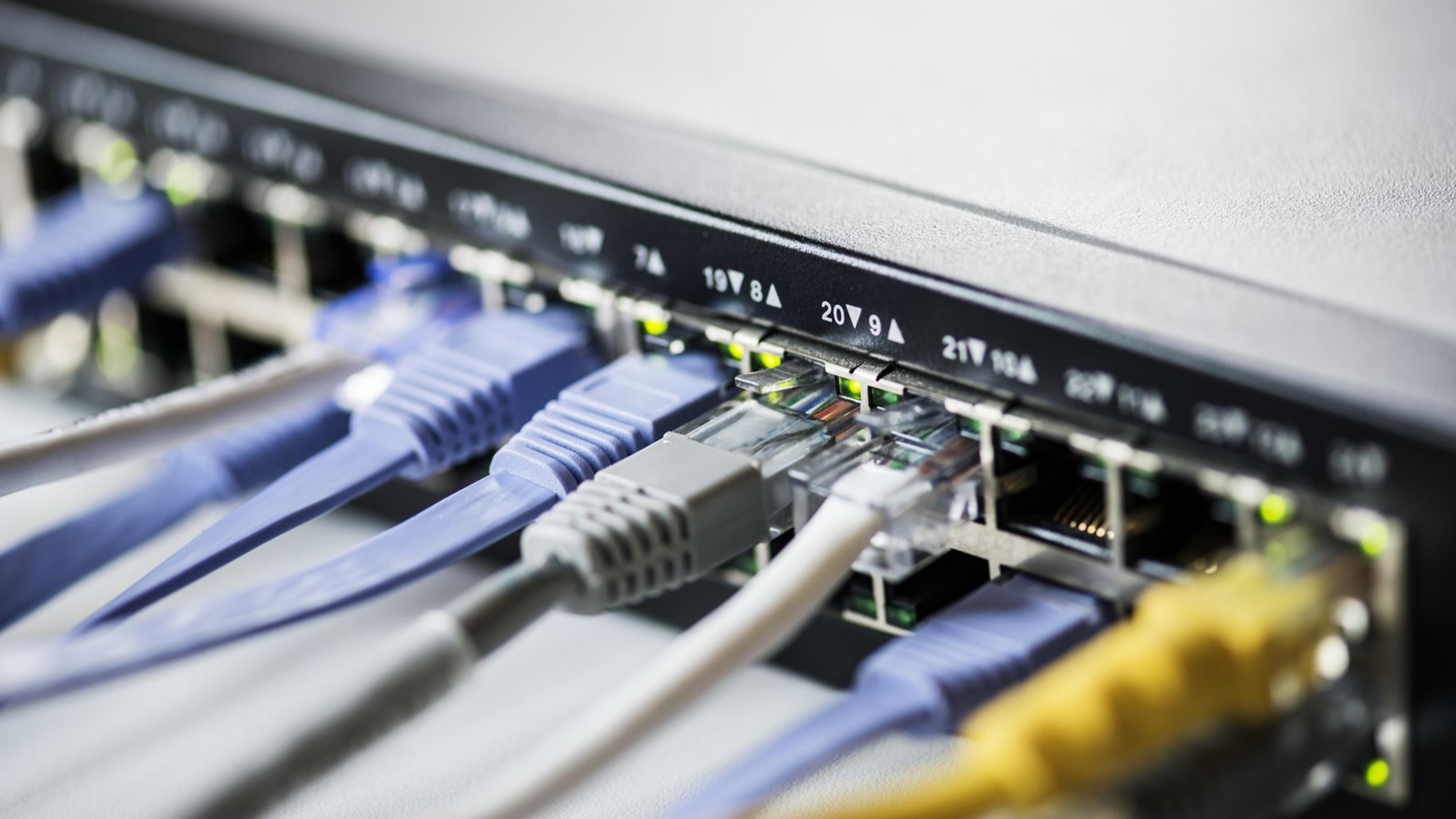 Close-up of blue, grey and yellow network cables plugged into the ports of a rack-mounted switch