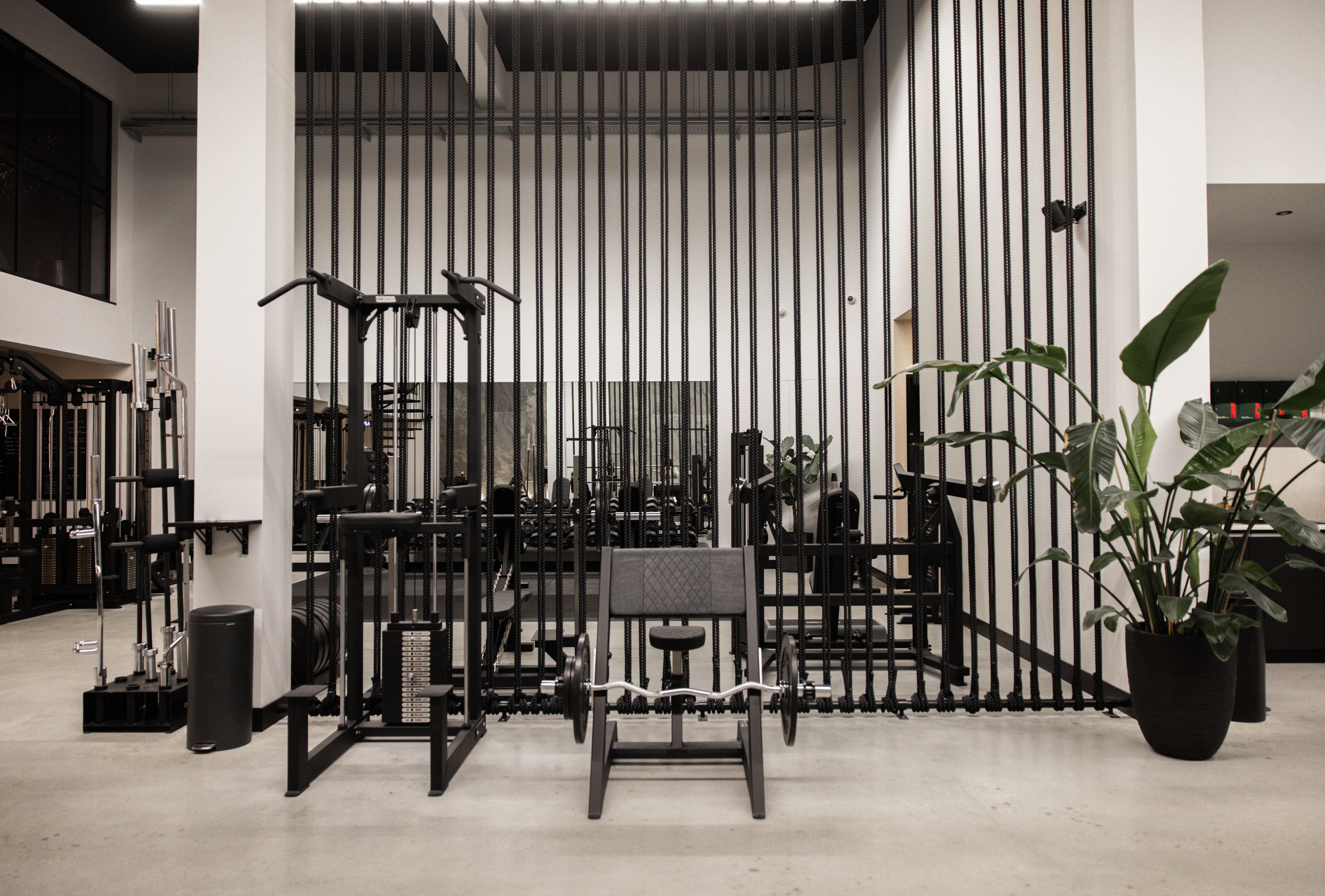 The Progress Lab - PT studio