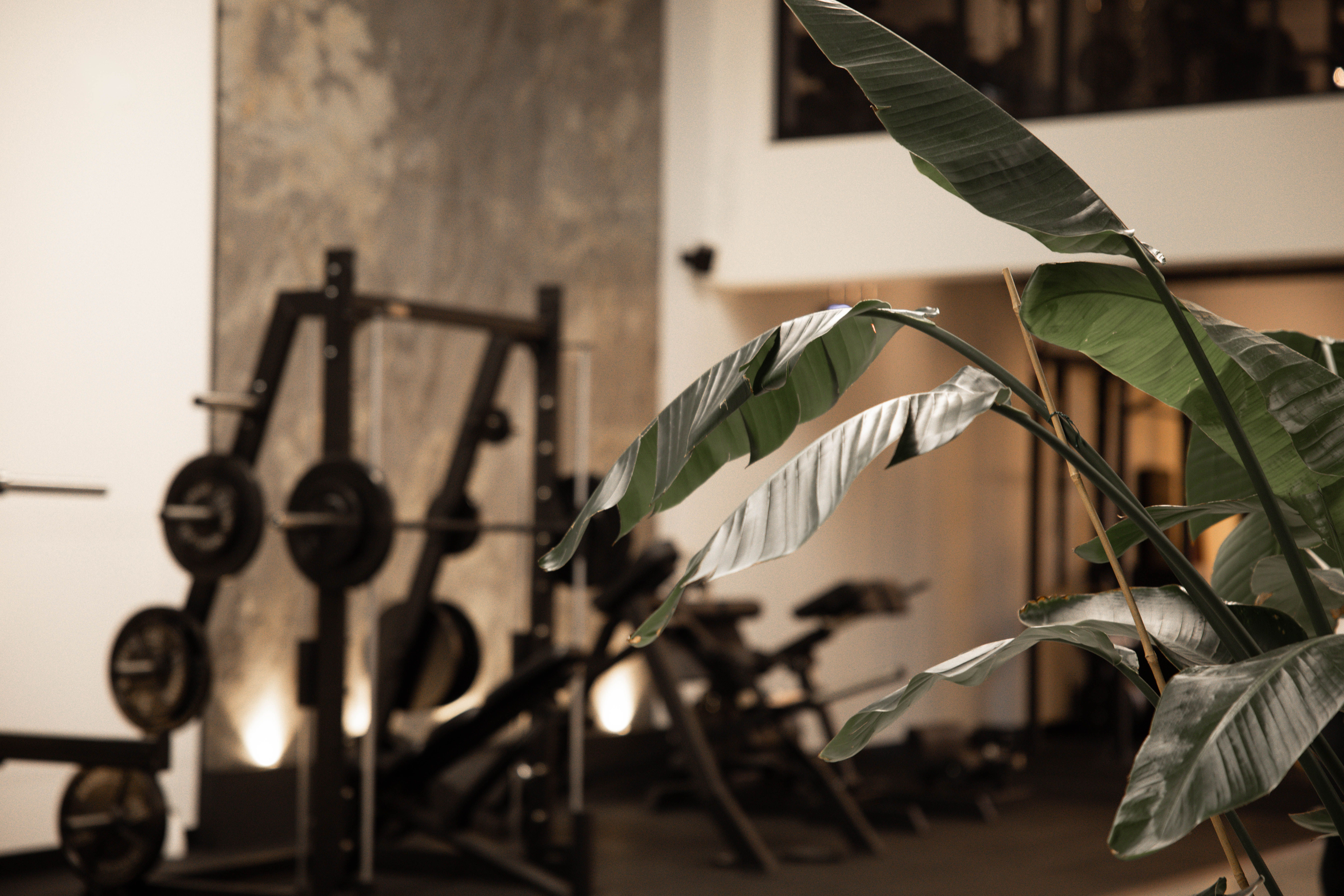 The Progress Lab - PT studio