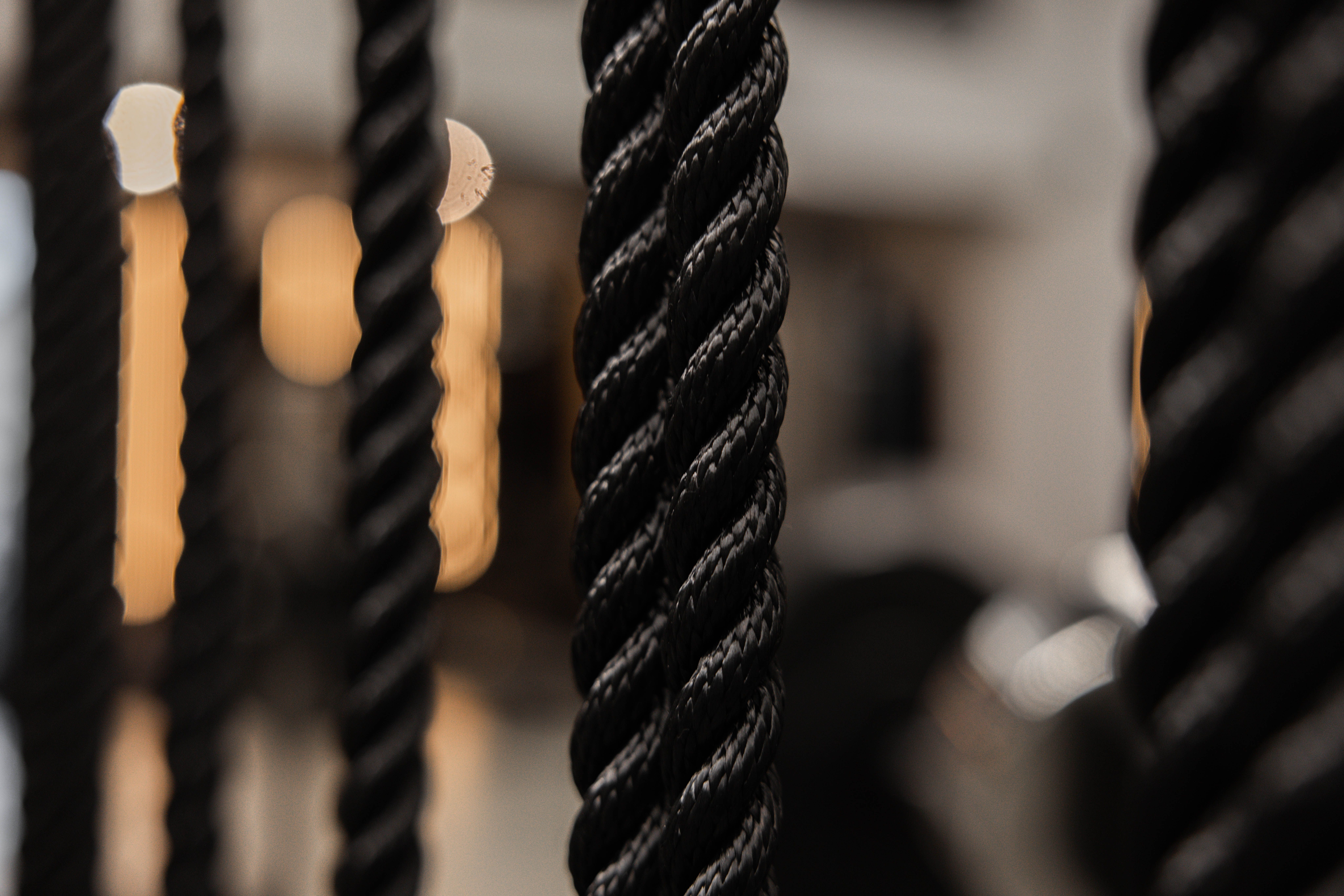 The Progress Lab - PT studio