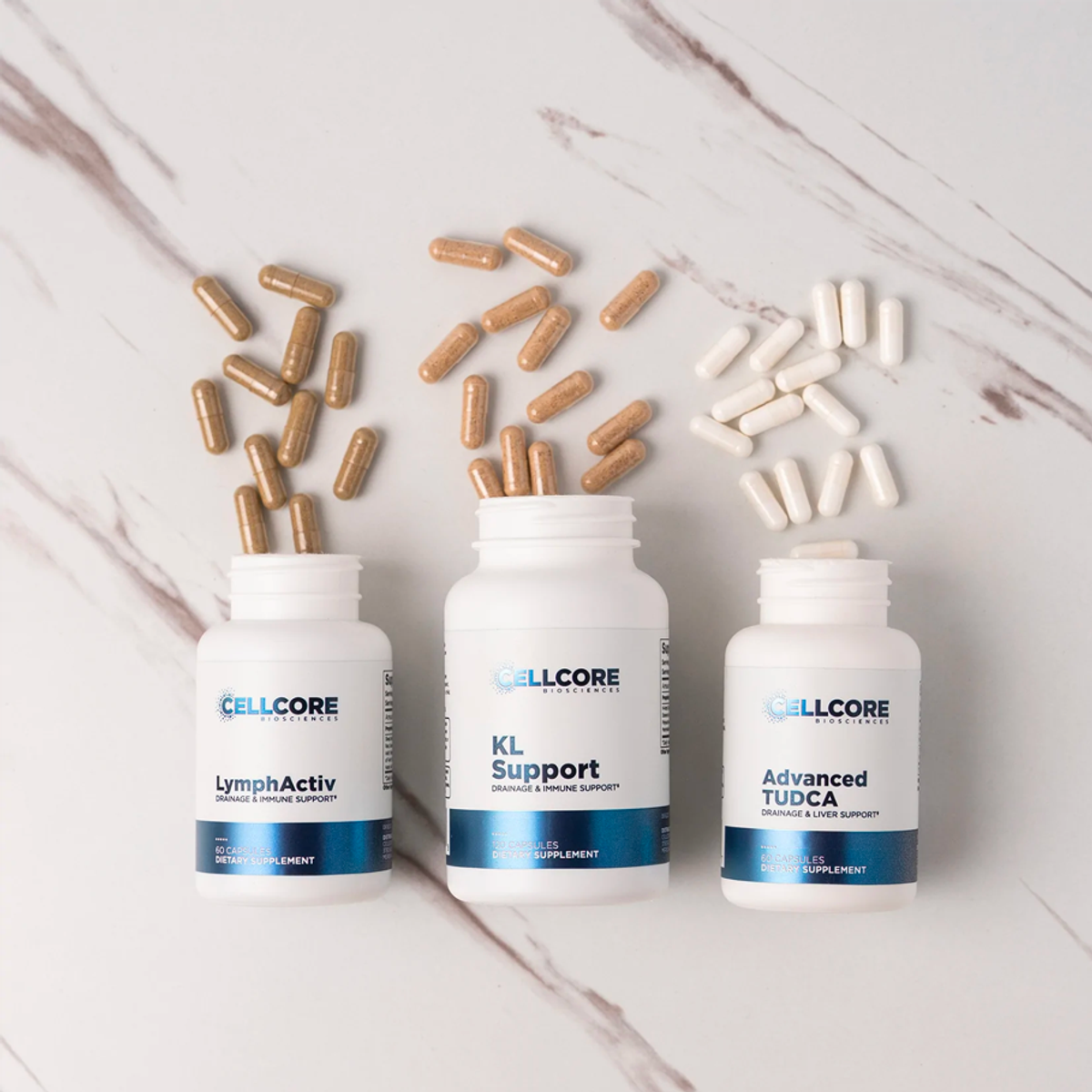 Liver Support Kit by CellCore Biosciences For Kidney, Liver, and Bile Duct  Function