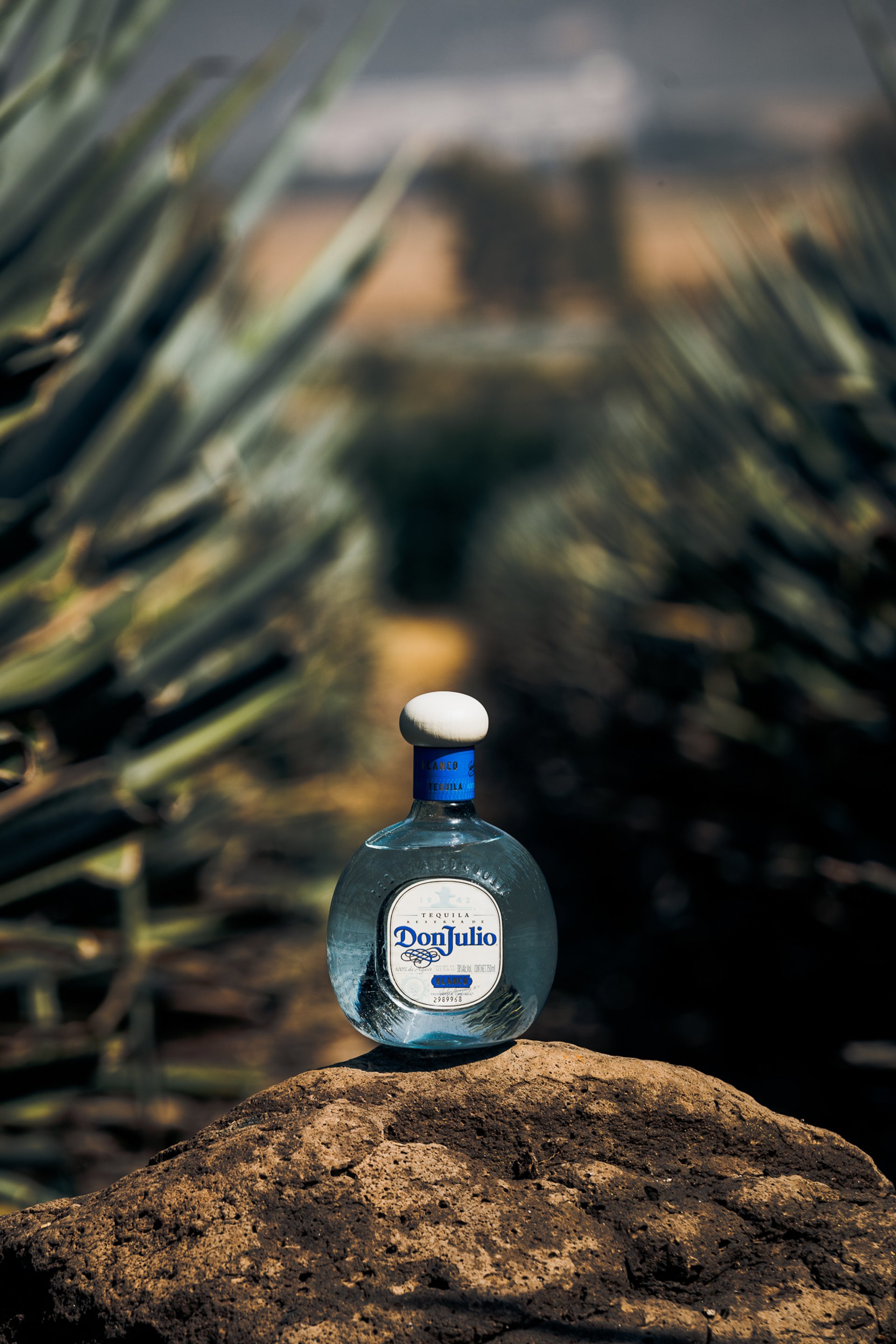Don Julio Campaign — 8