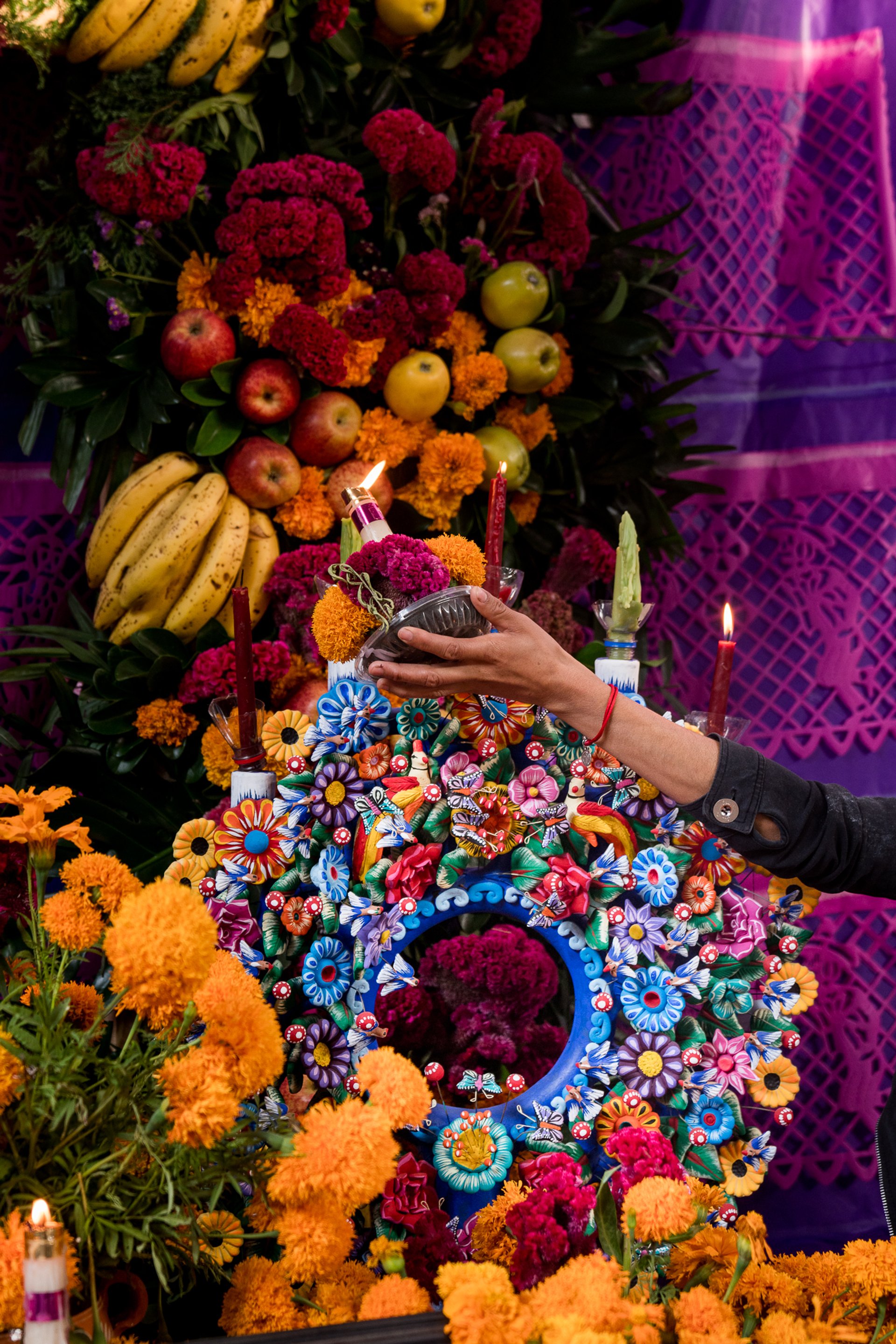 Don Julio Campaign — 24