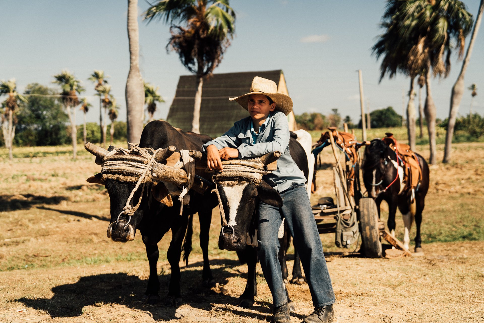 Sony Alpha Cuba — 19