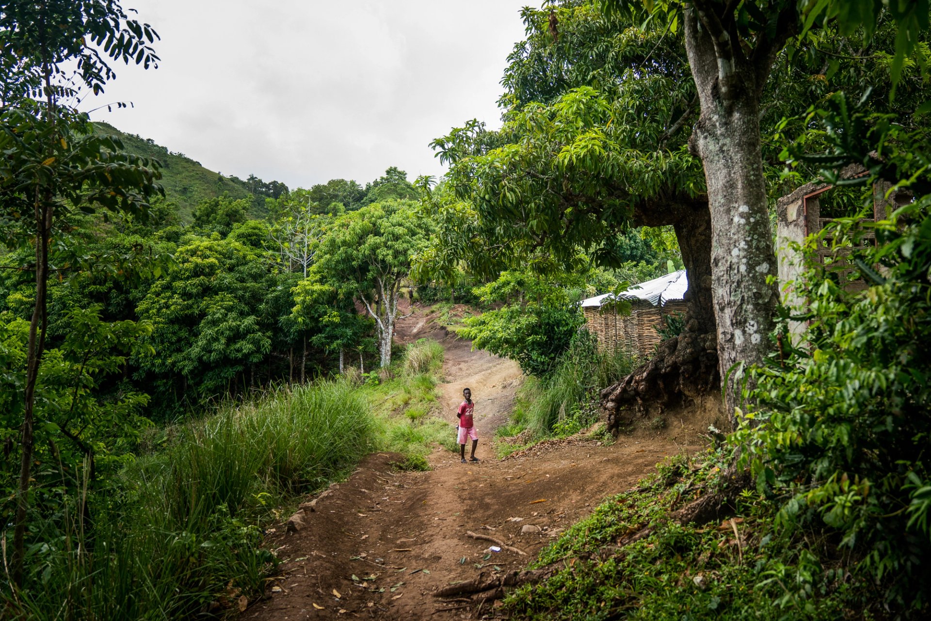 Kin Travel Haiti — 3