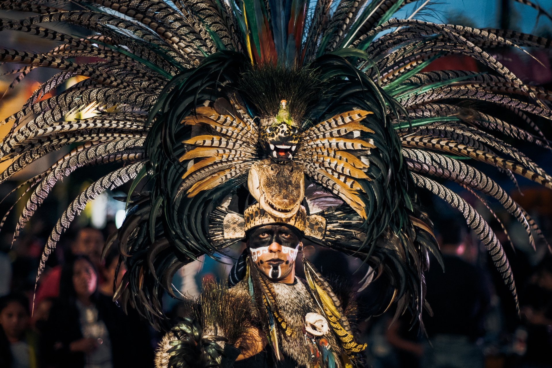 Don Julio Campaign — 27