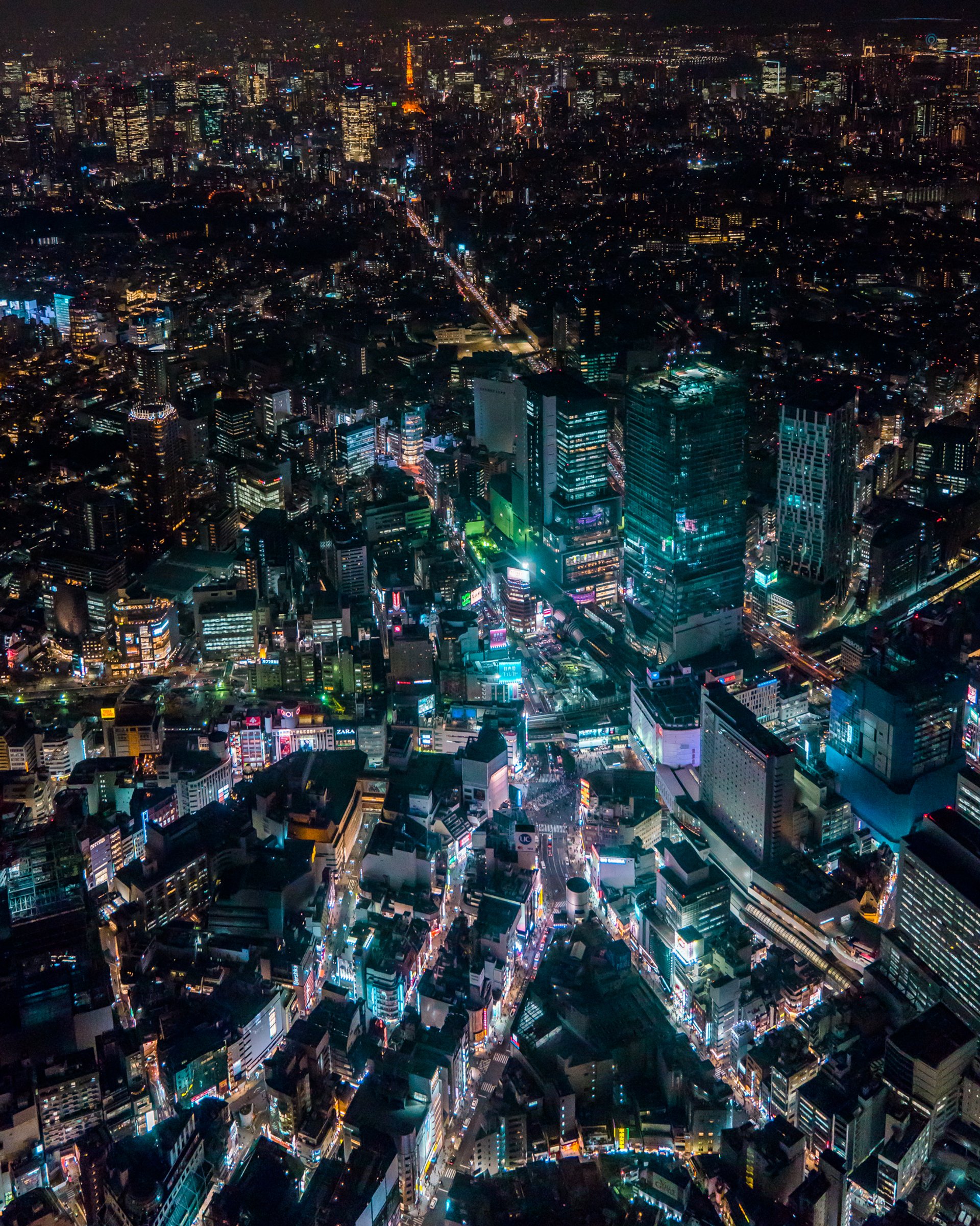 Japanese Tourism Board — 2