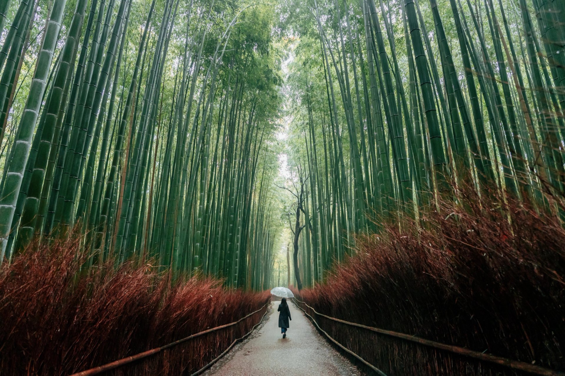 Four Seasons Kyoto — 1