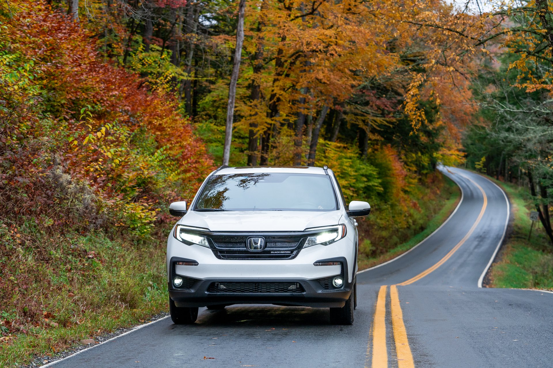 Honda Fall Campaign — 3