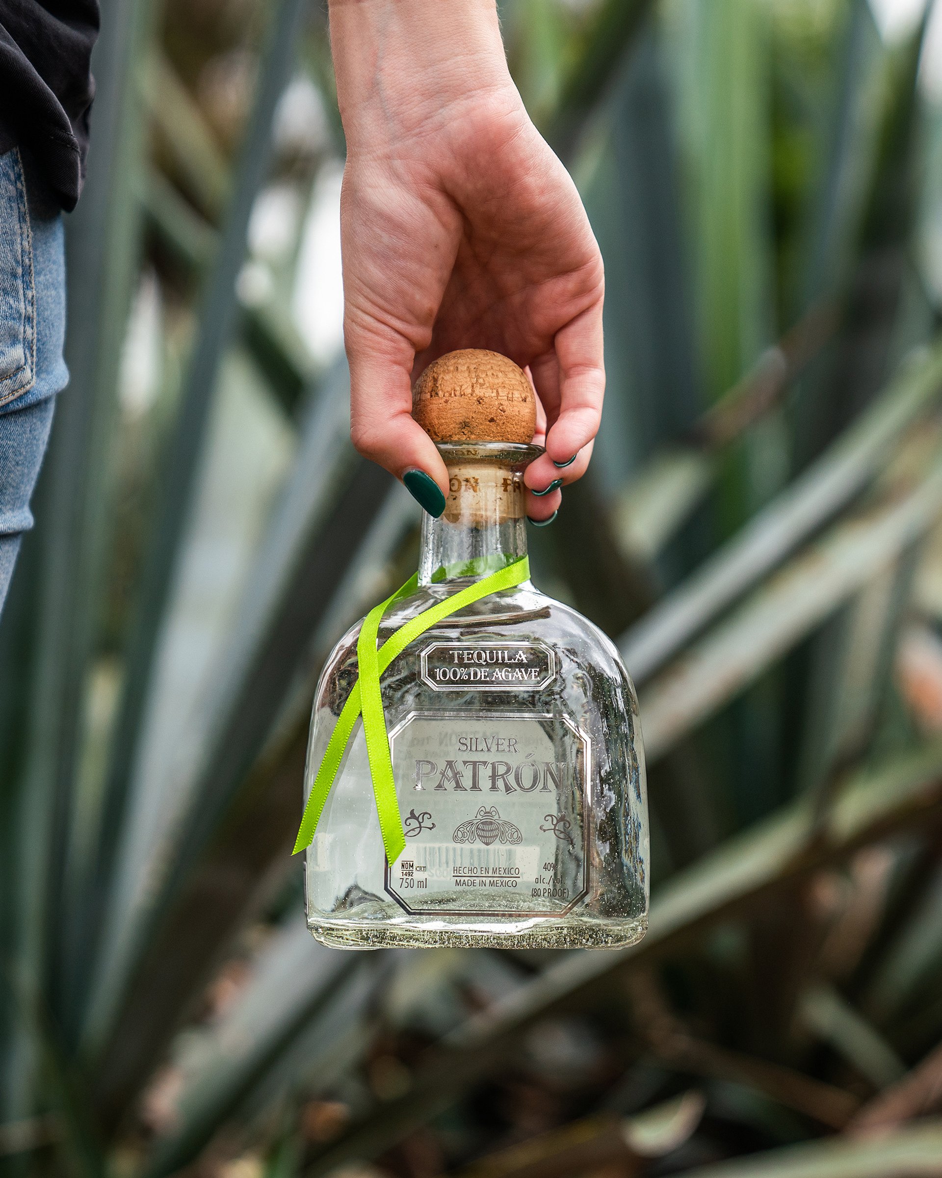 Patron — 15