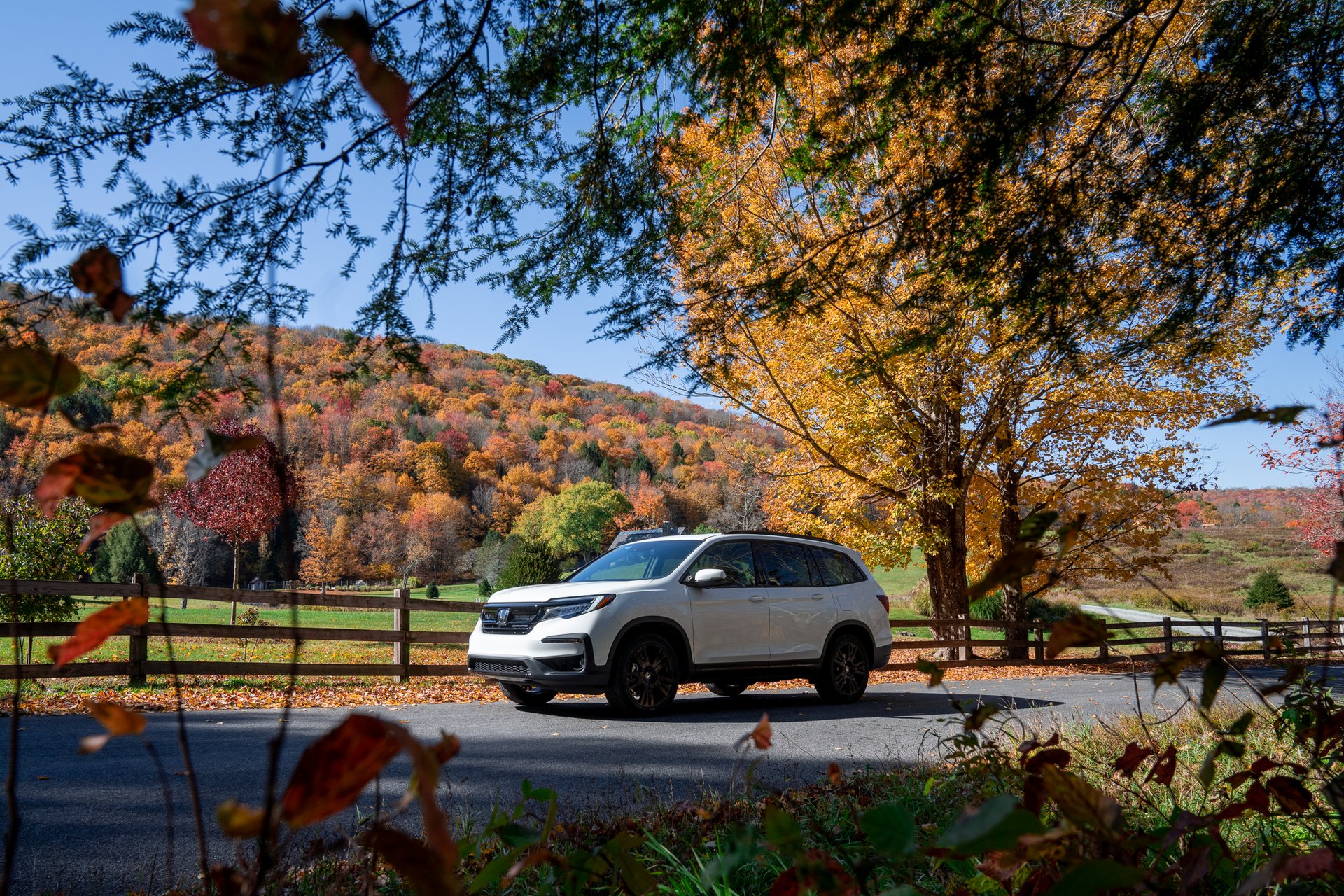 Honda Fall Campaign — 9