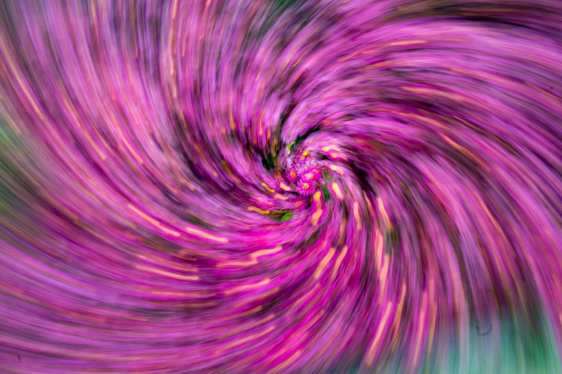 Purple flowers spun into a spiral by rotating the camera during a slow exposure