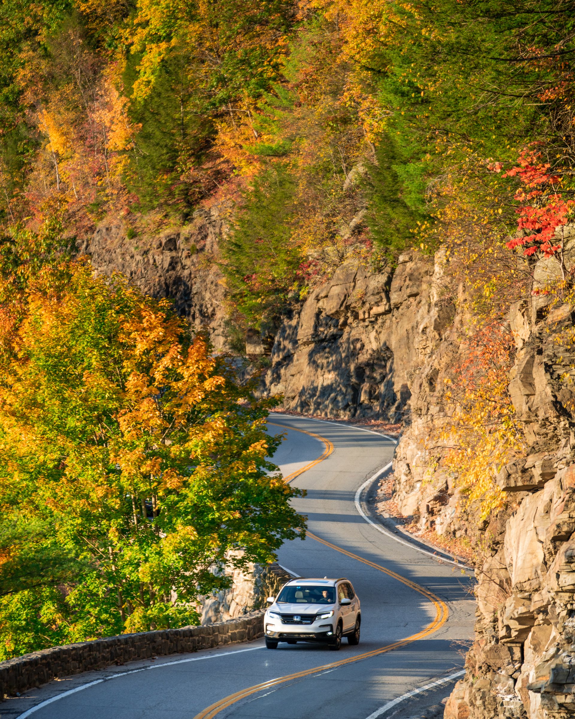 Honda Fall Campaign — 12