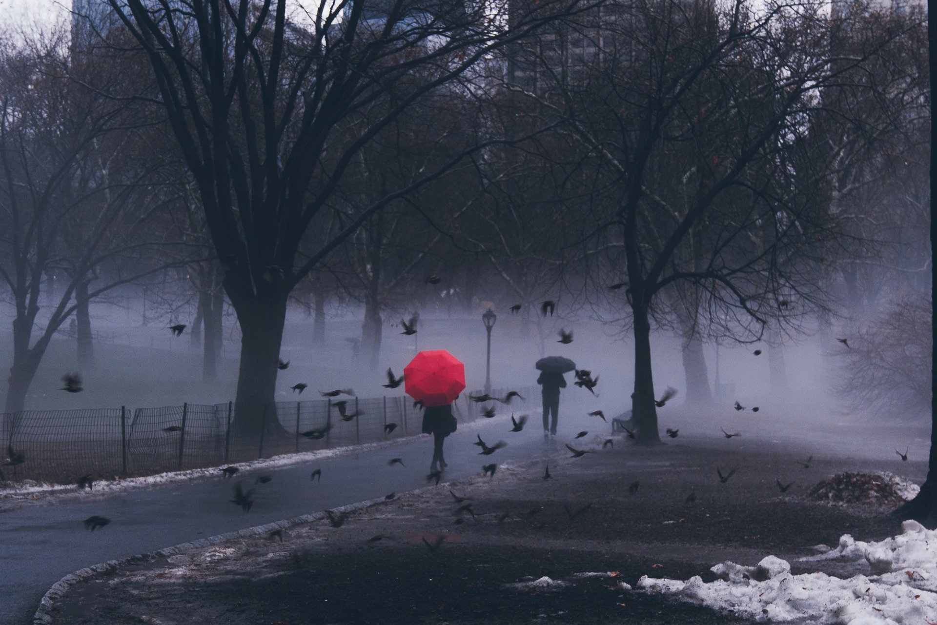 FOG — 1