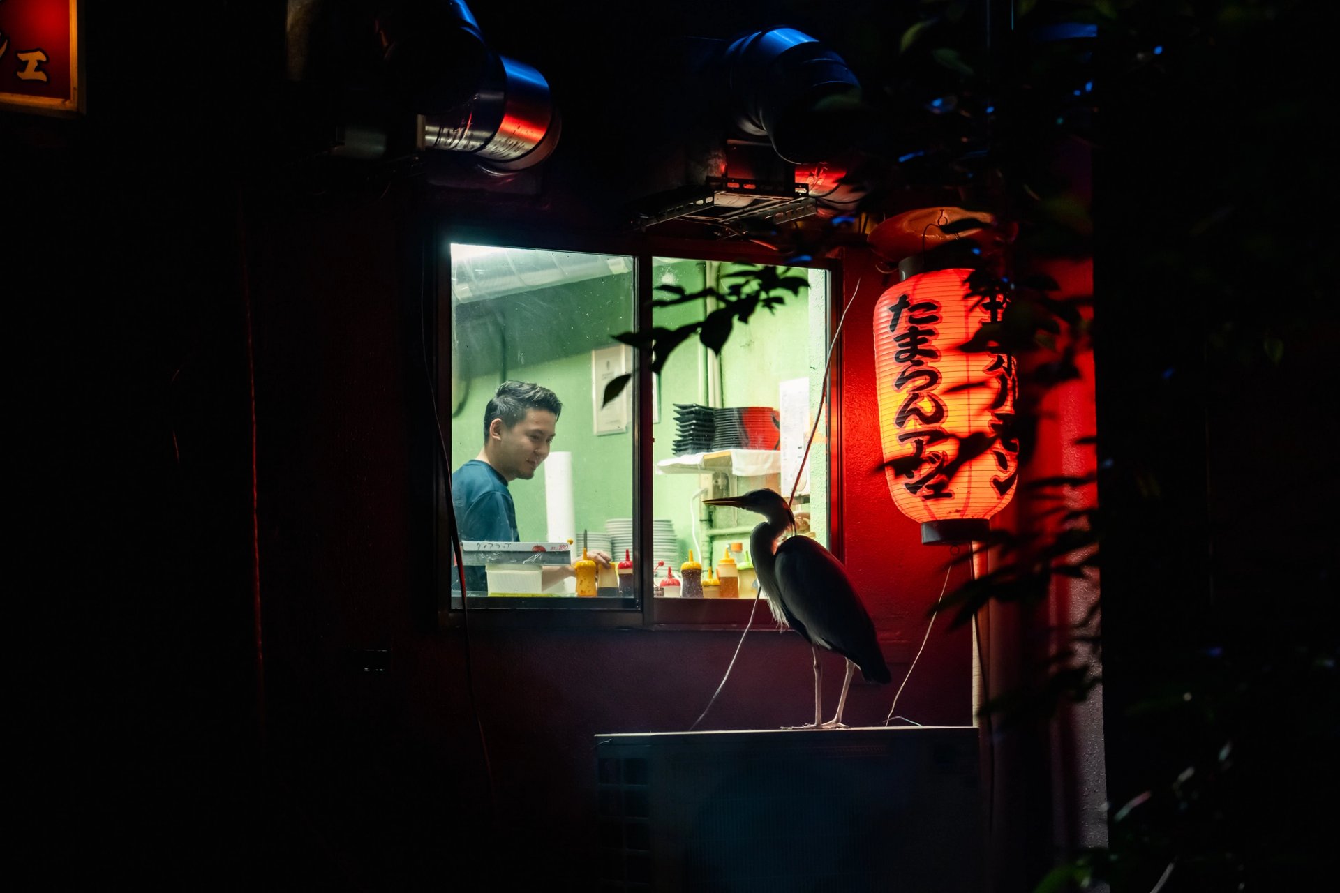 Japanese Tourism Board — 31