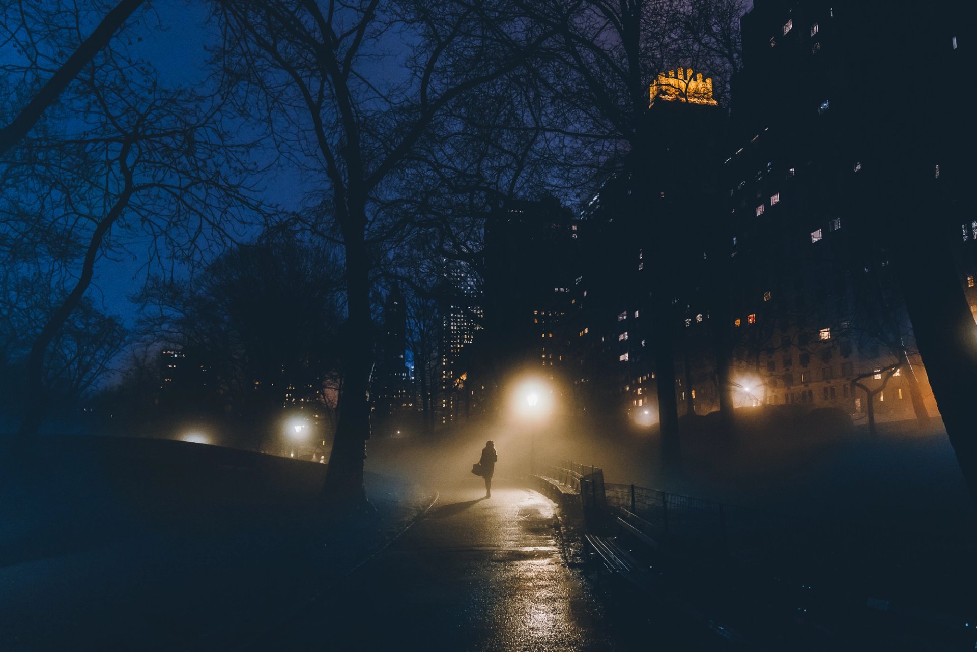 FOG — 3
