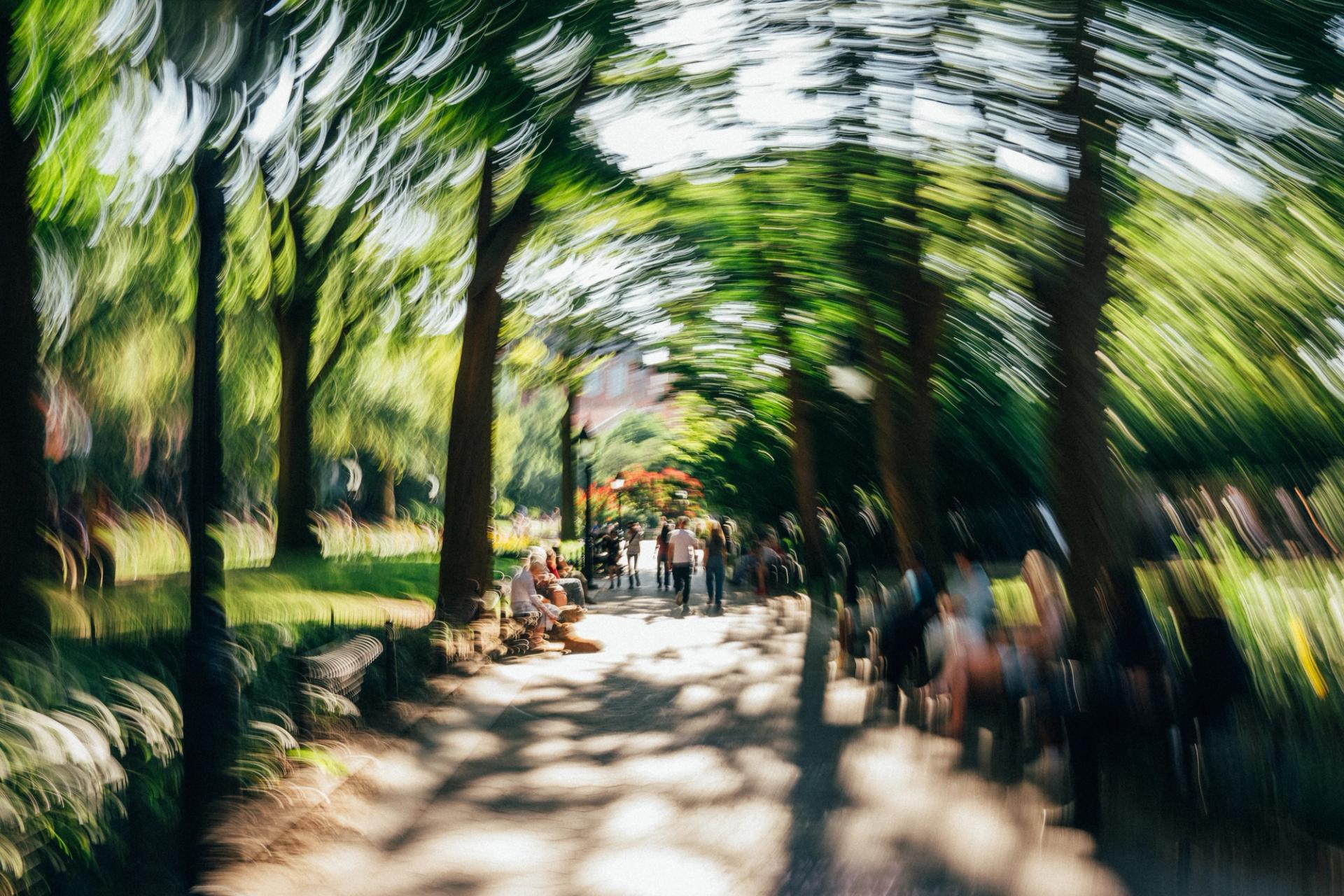 Camera rotated during a slow exposure on a tree-lined park path, the canopy spinning into arcs of green light