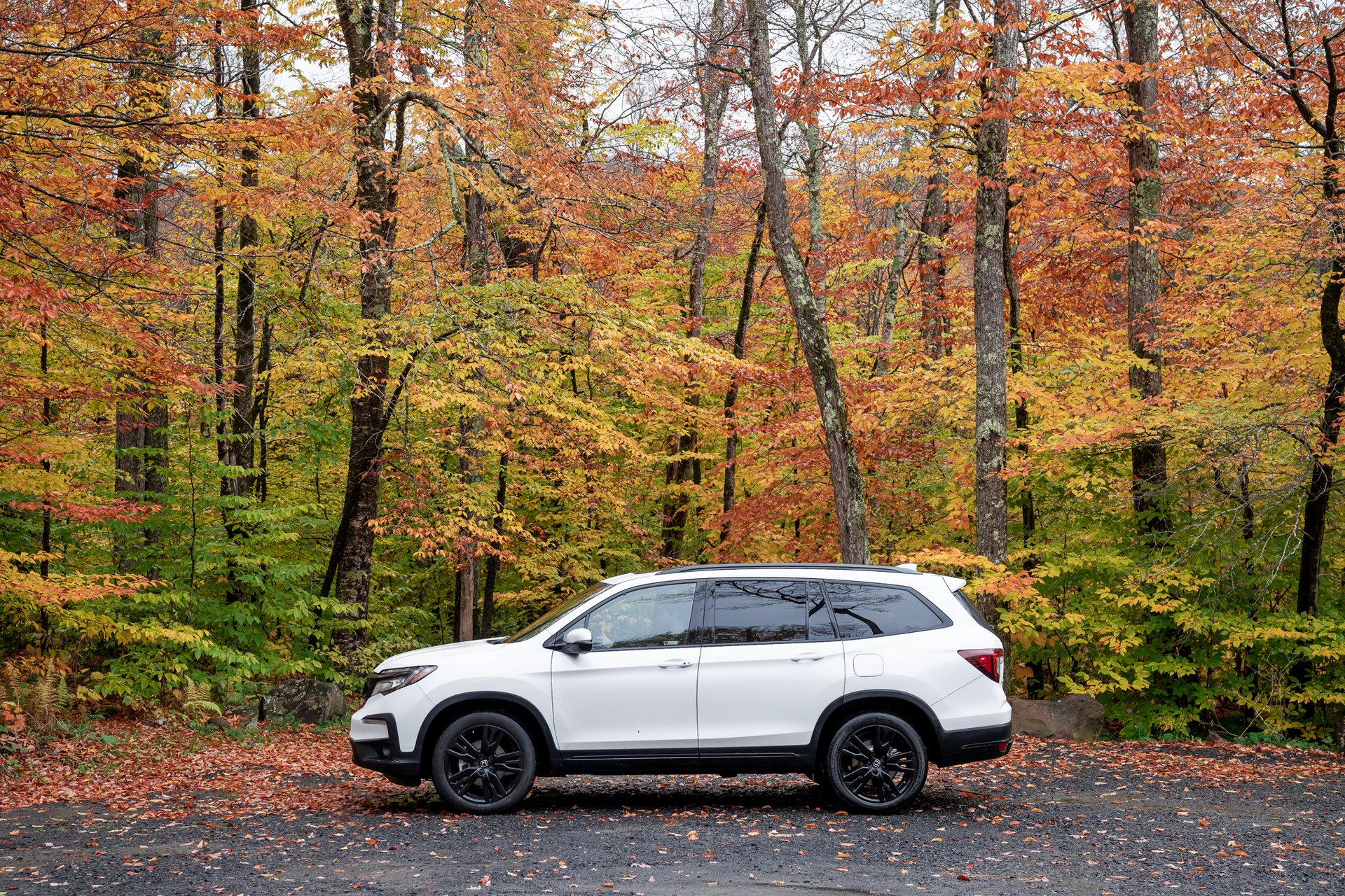 Honda Fall Campaign — 2