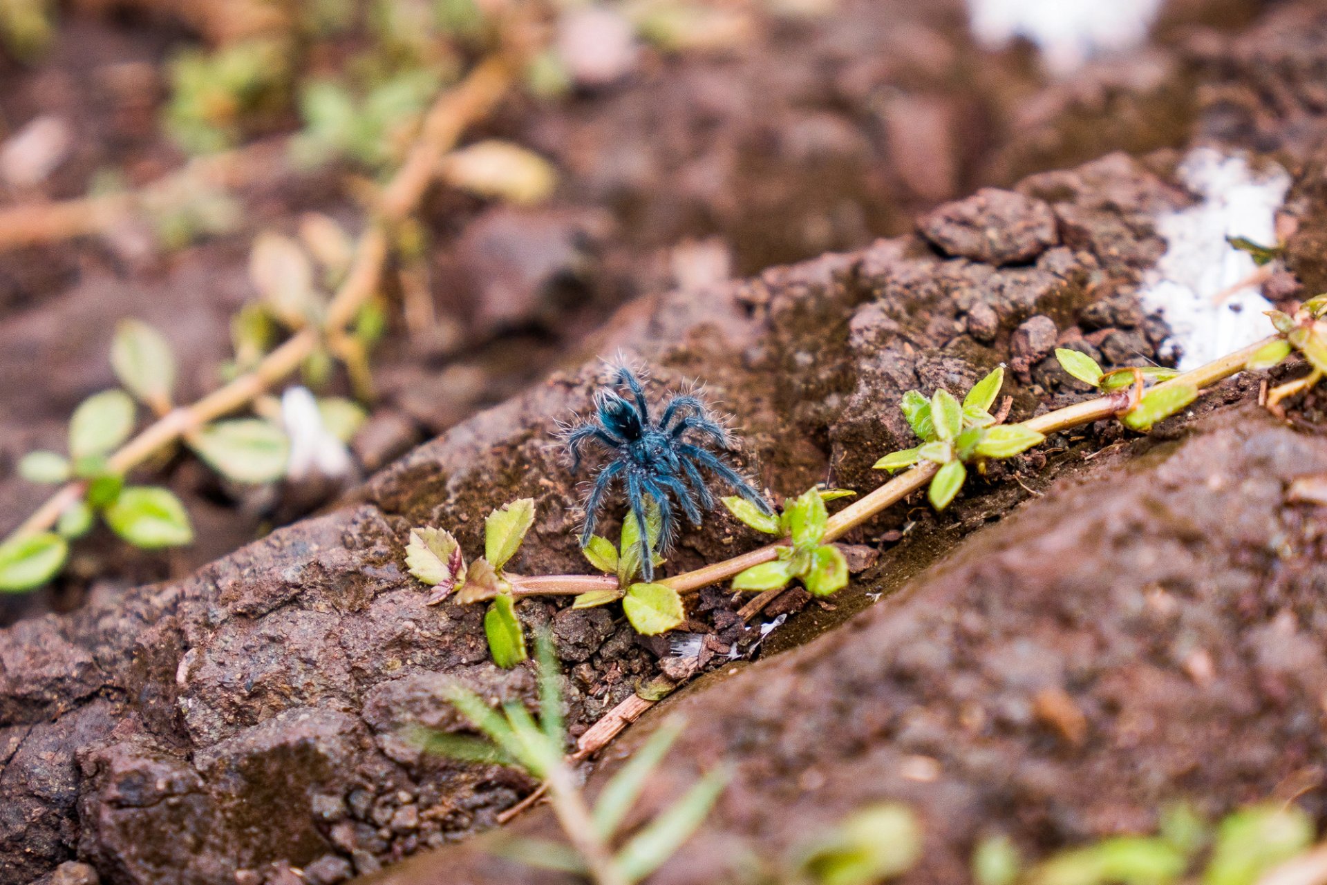 Kin Travel Haiti — 1