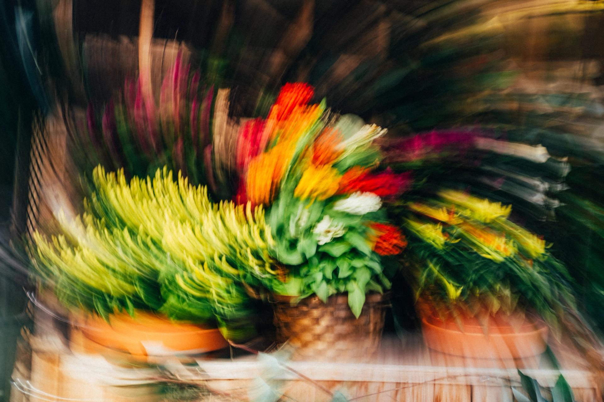 Flower stand twisted into arcs of red, yellow and green by a camera rotation mid-exposure