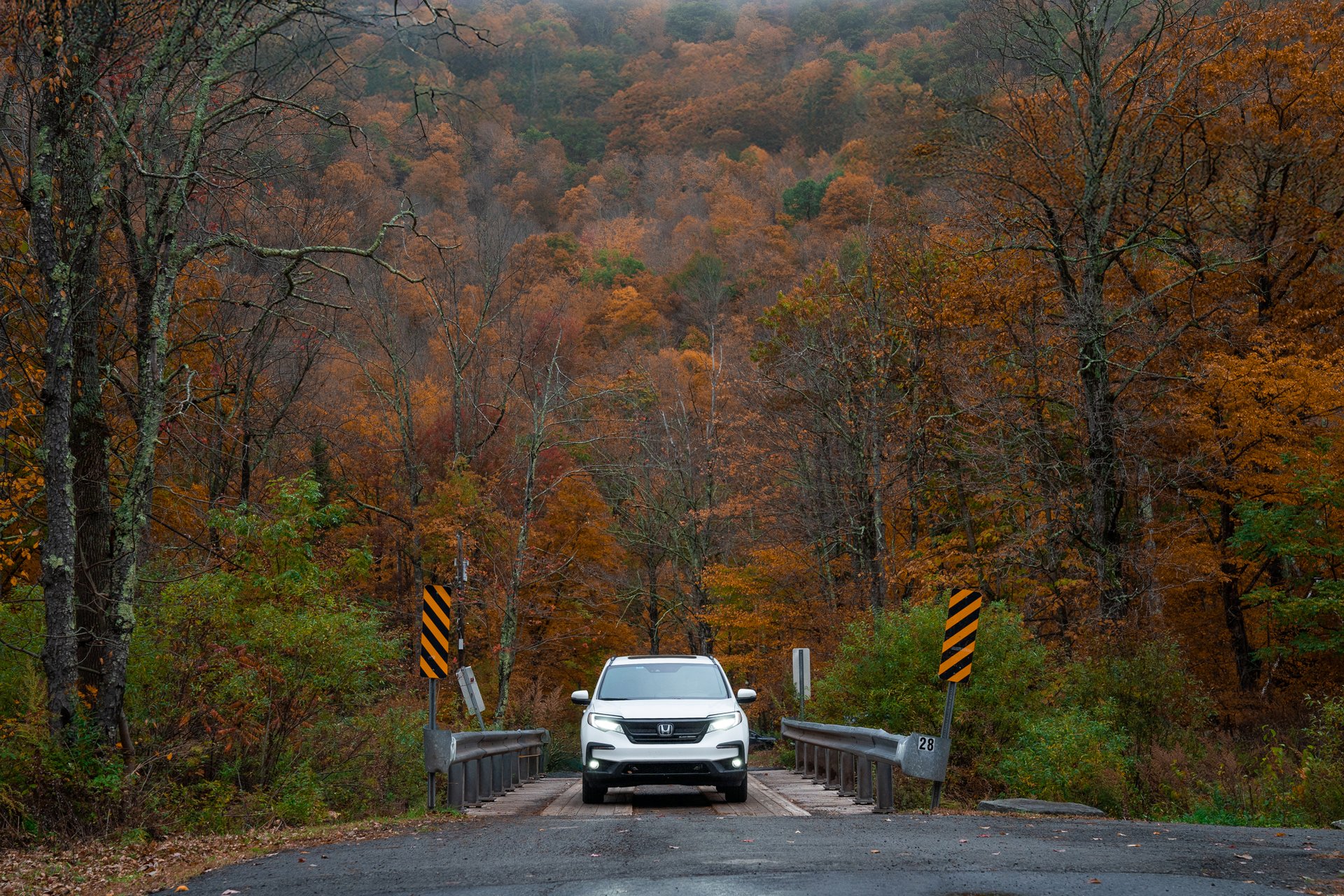 Honda Fall Campaign — 7