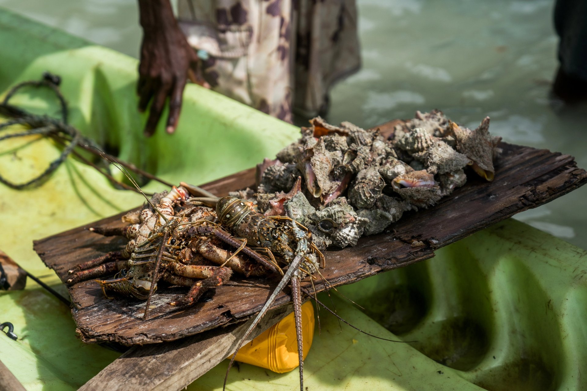 Kin Travel Haiti — 6