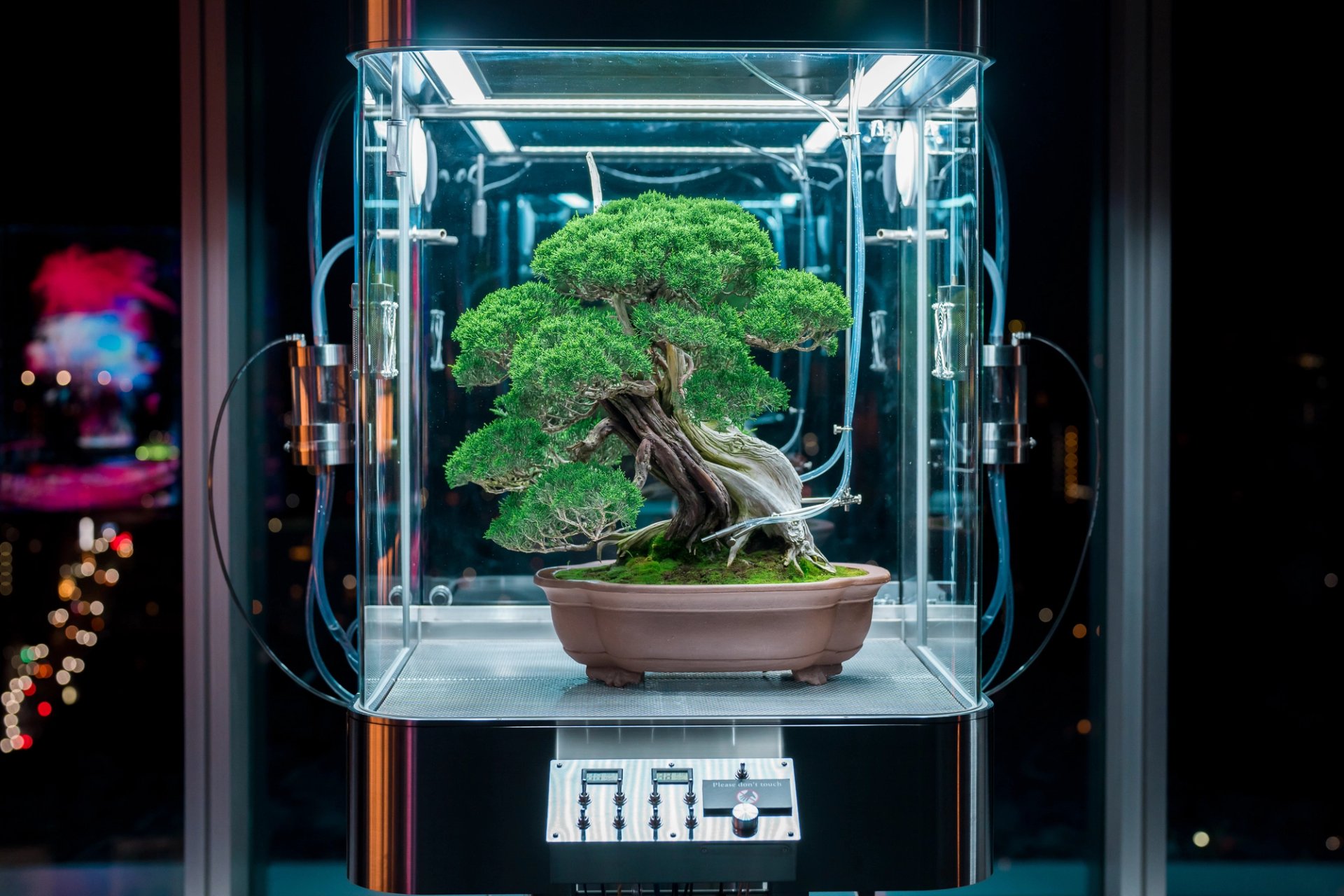 Japanese Tourism Board — 24