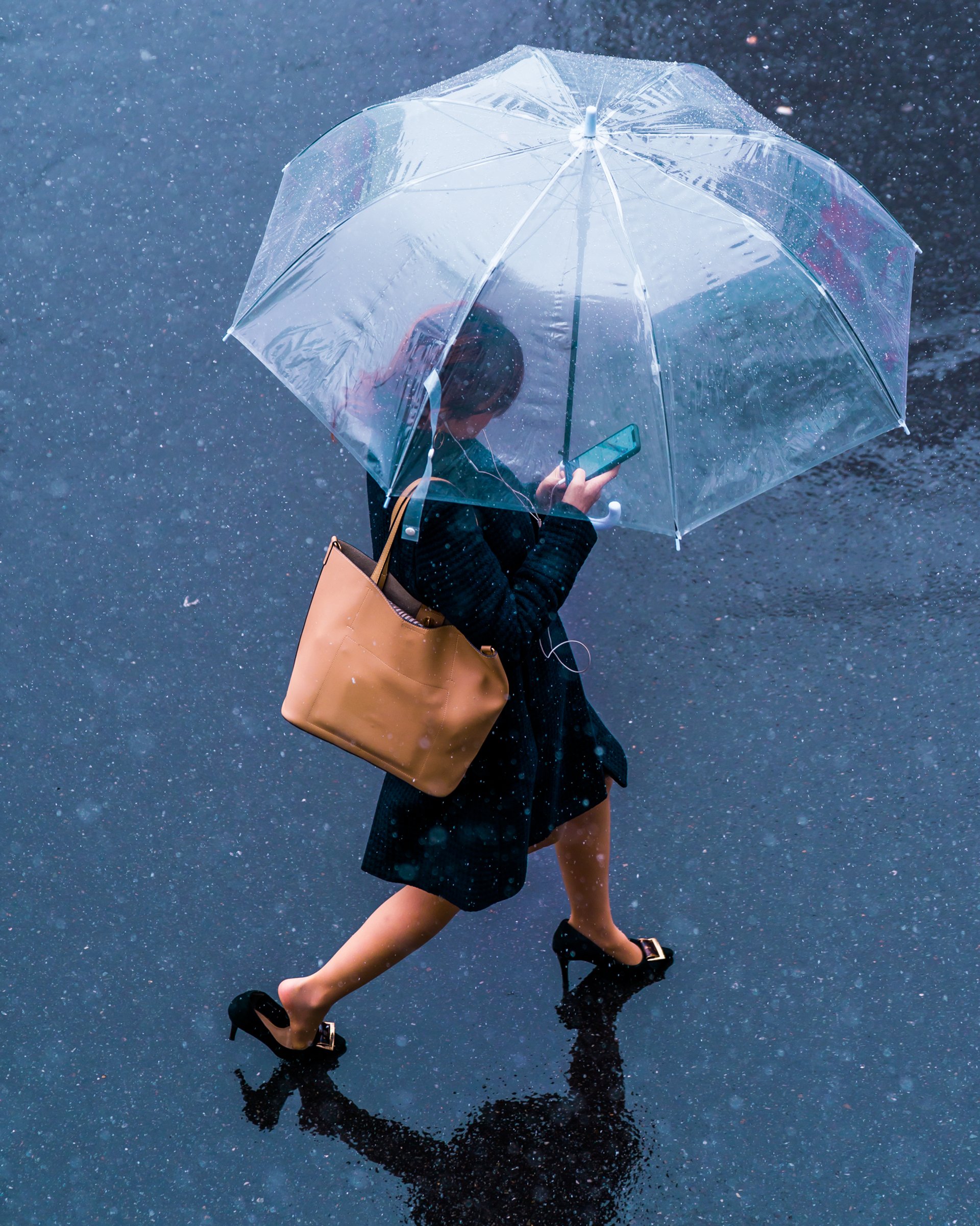 Japanese Tourism Board — 8