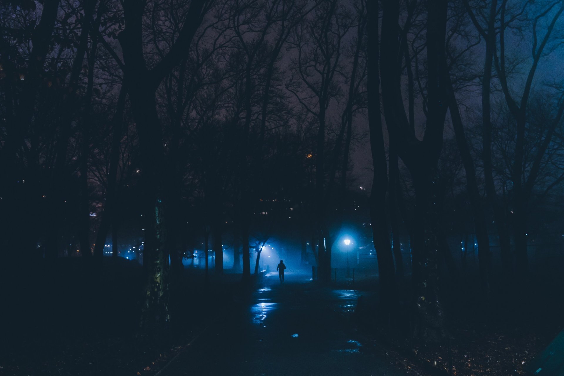 FOG — 10