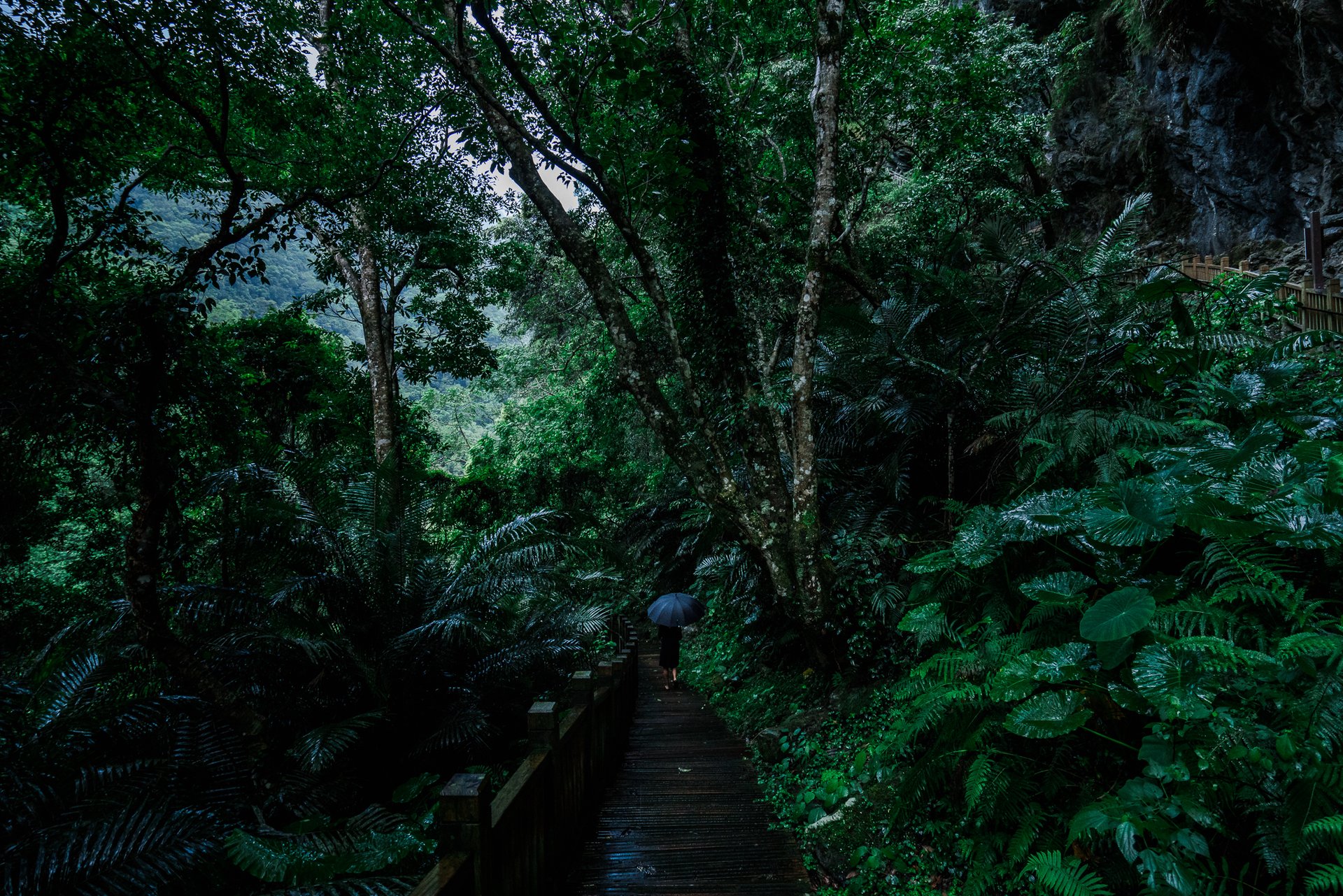 Taiwan Tourism — 15