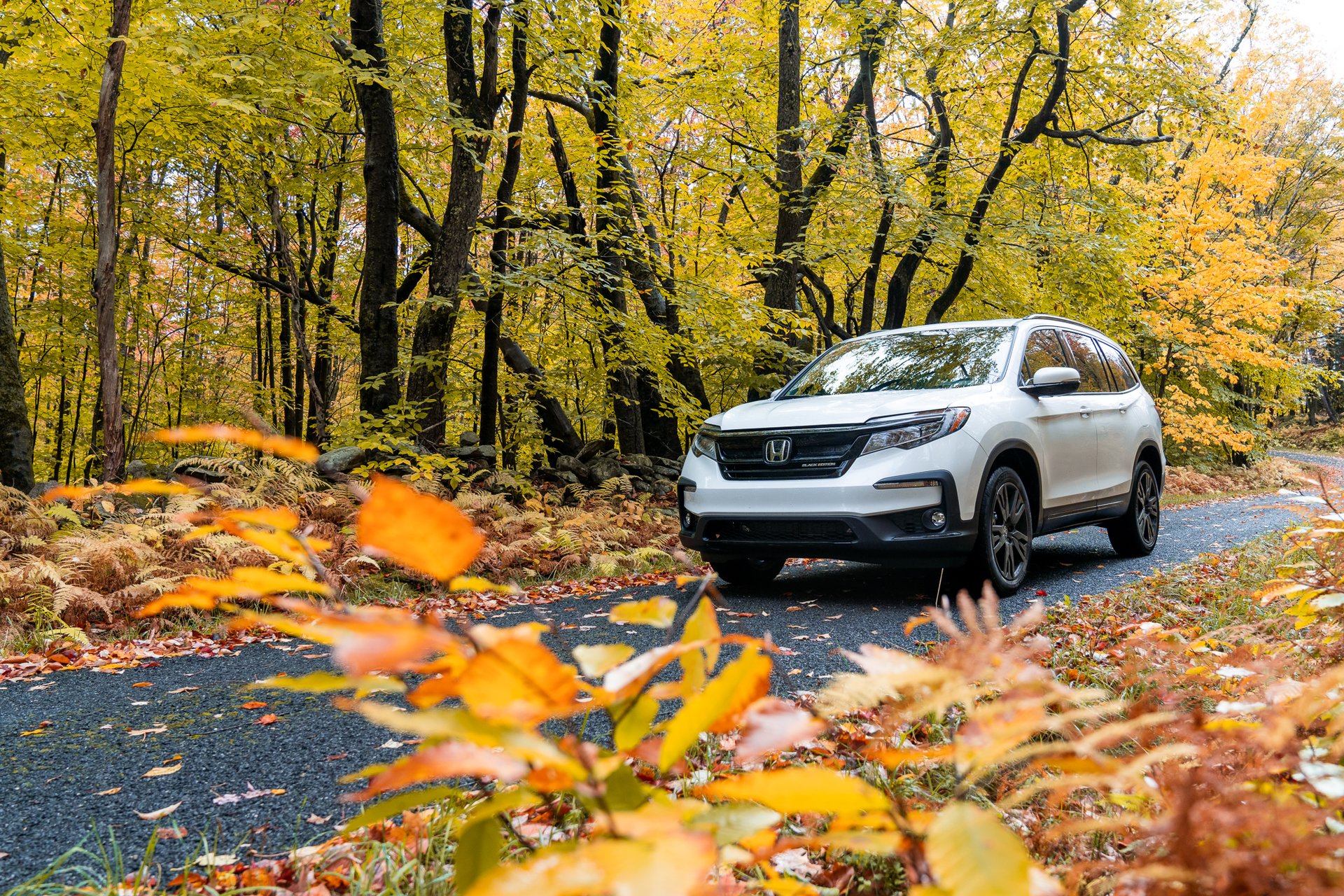 Honda Fall Campaign — 4