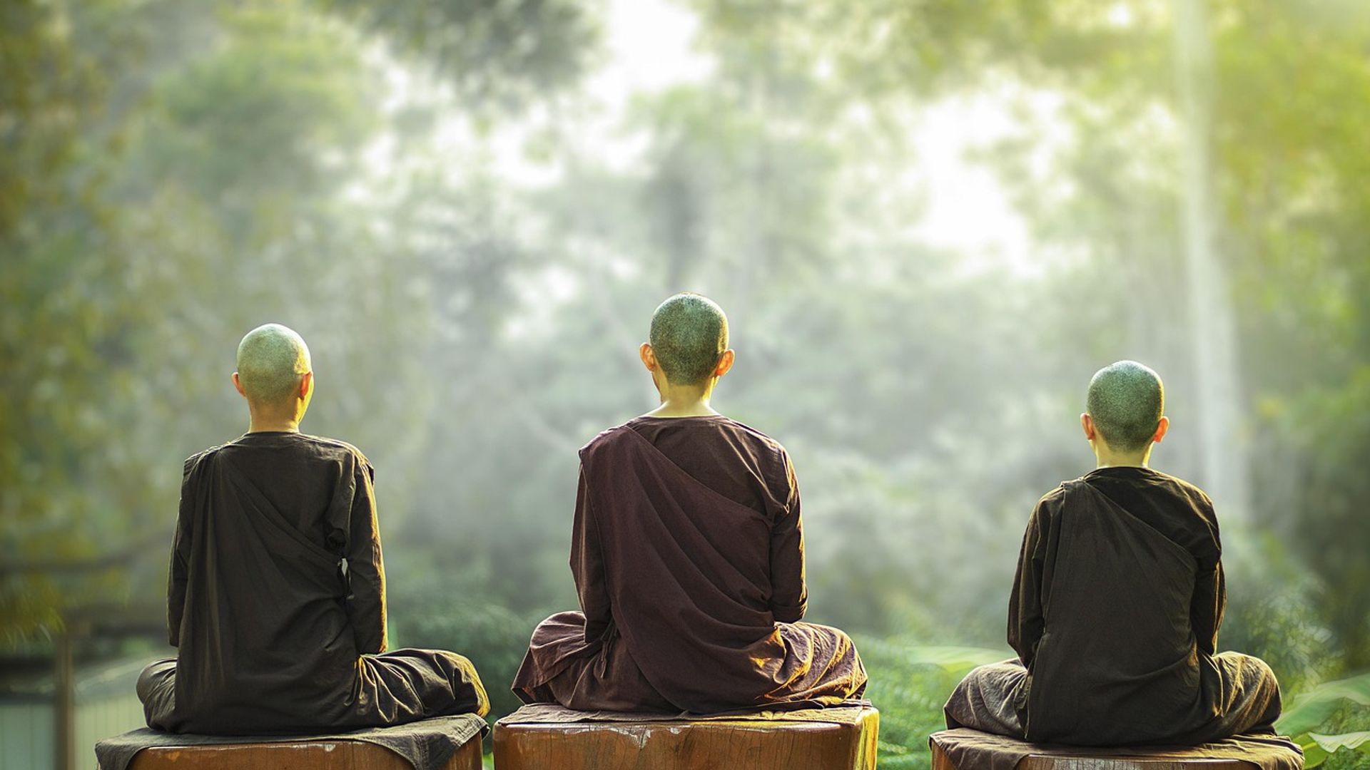 Mindfulness Retreats