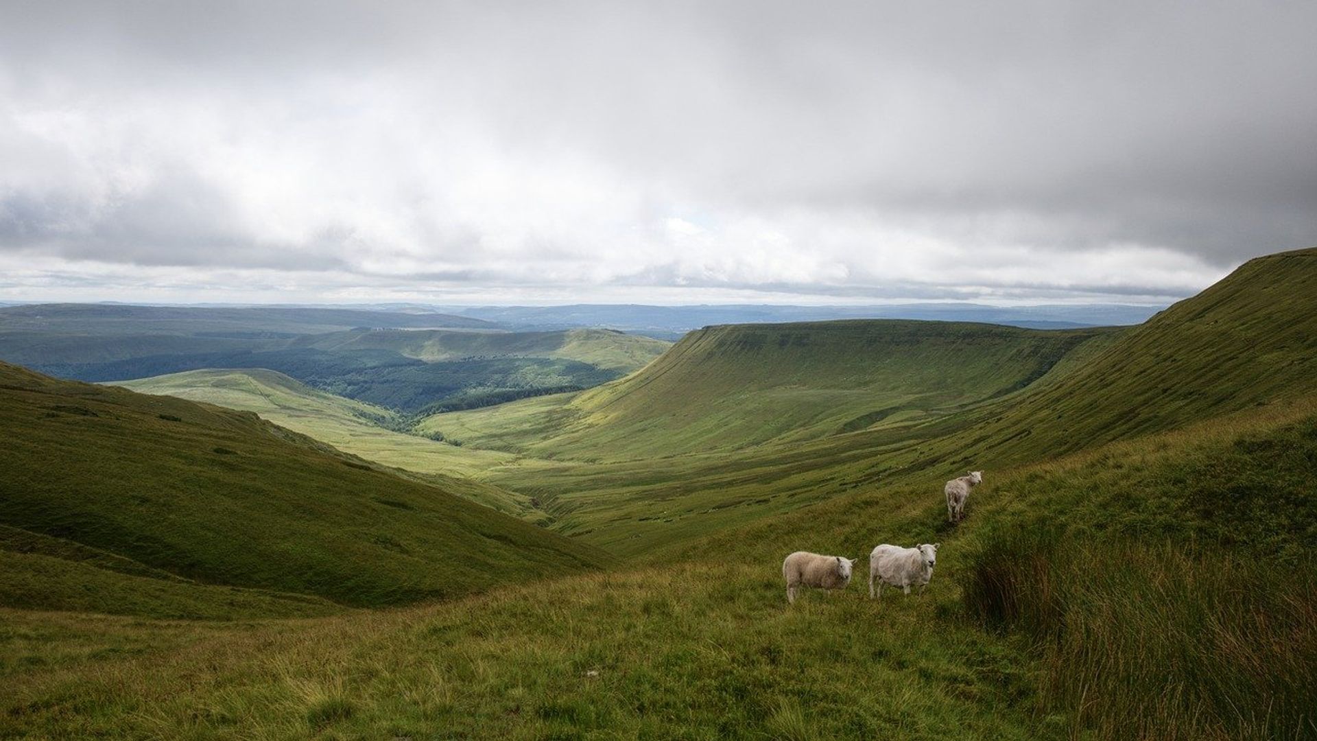 Walking & Hiking Groups