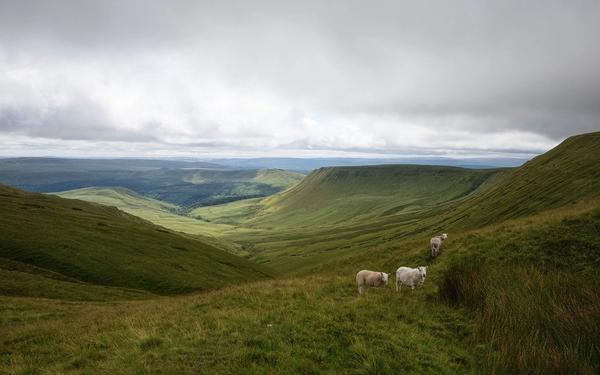 Walking & Hiking Groups