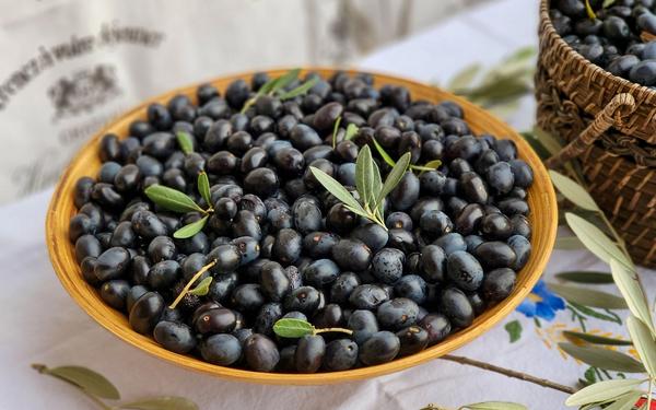 Farm-to-Table Experiences